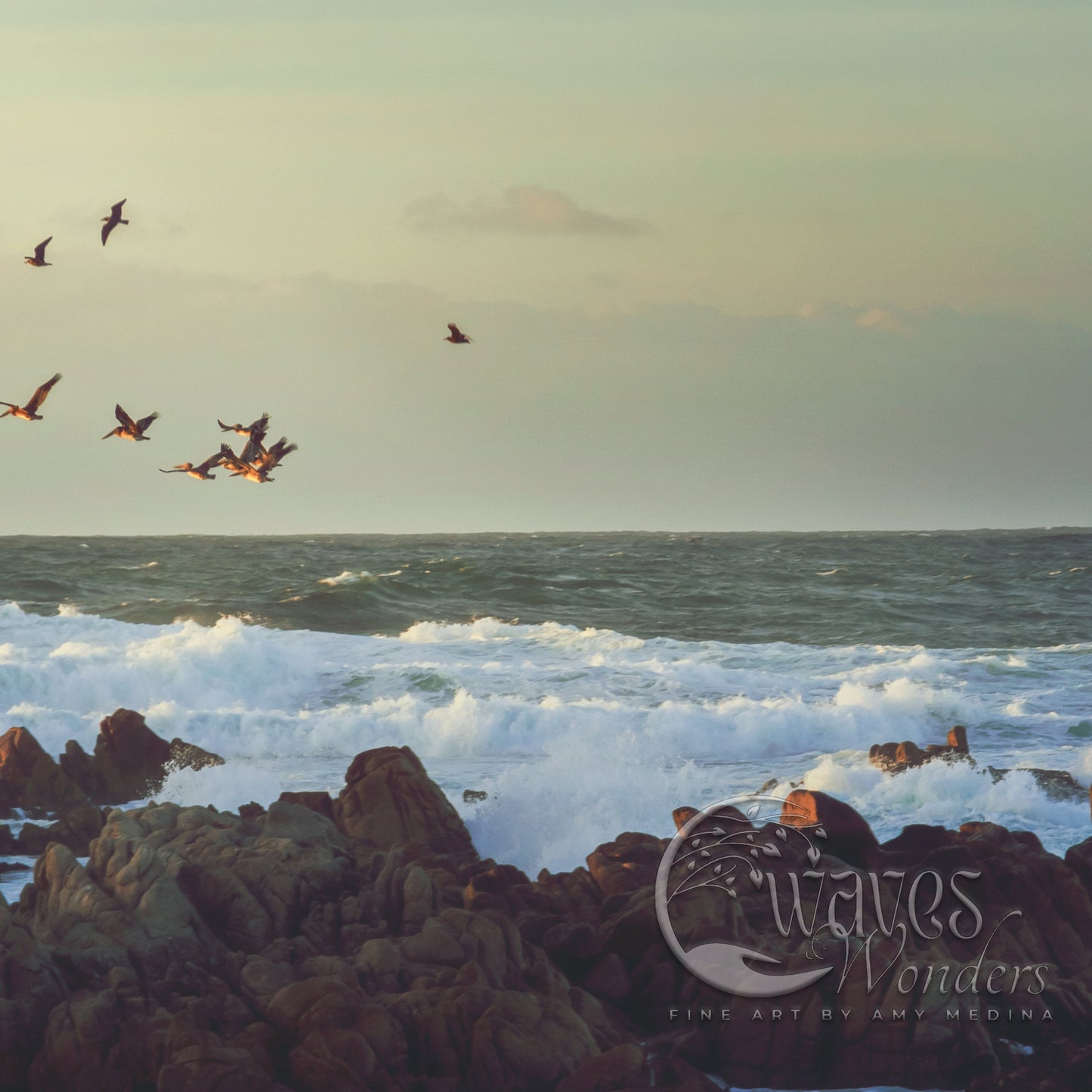 a flock of birds flying over the ocean