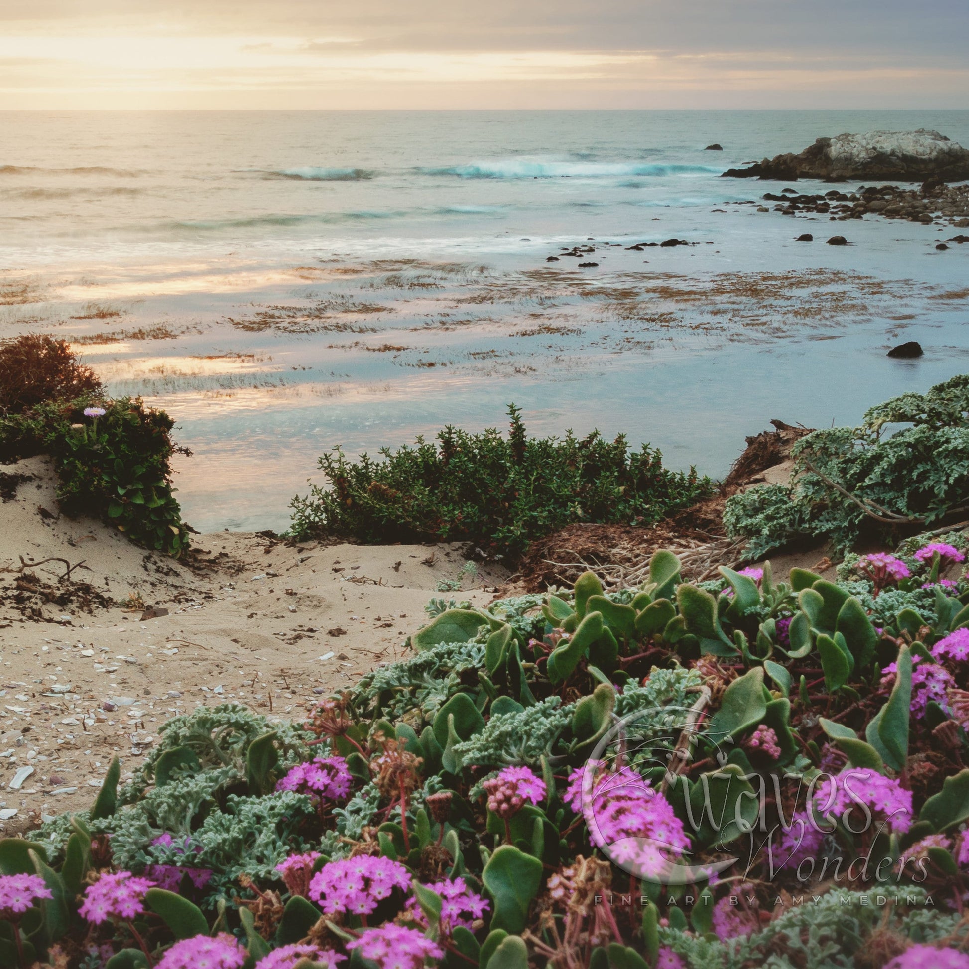 a bunch of flowers that are by the water