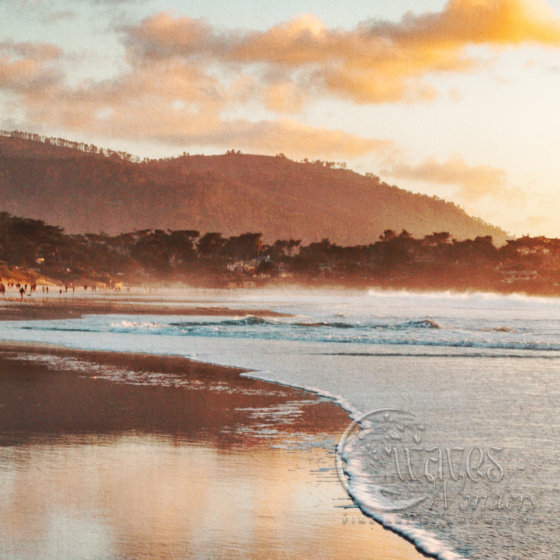 a beach with waves coming in and a mountain in the background