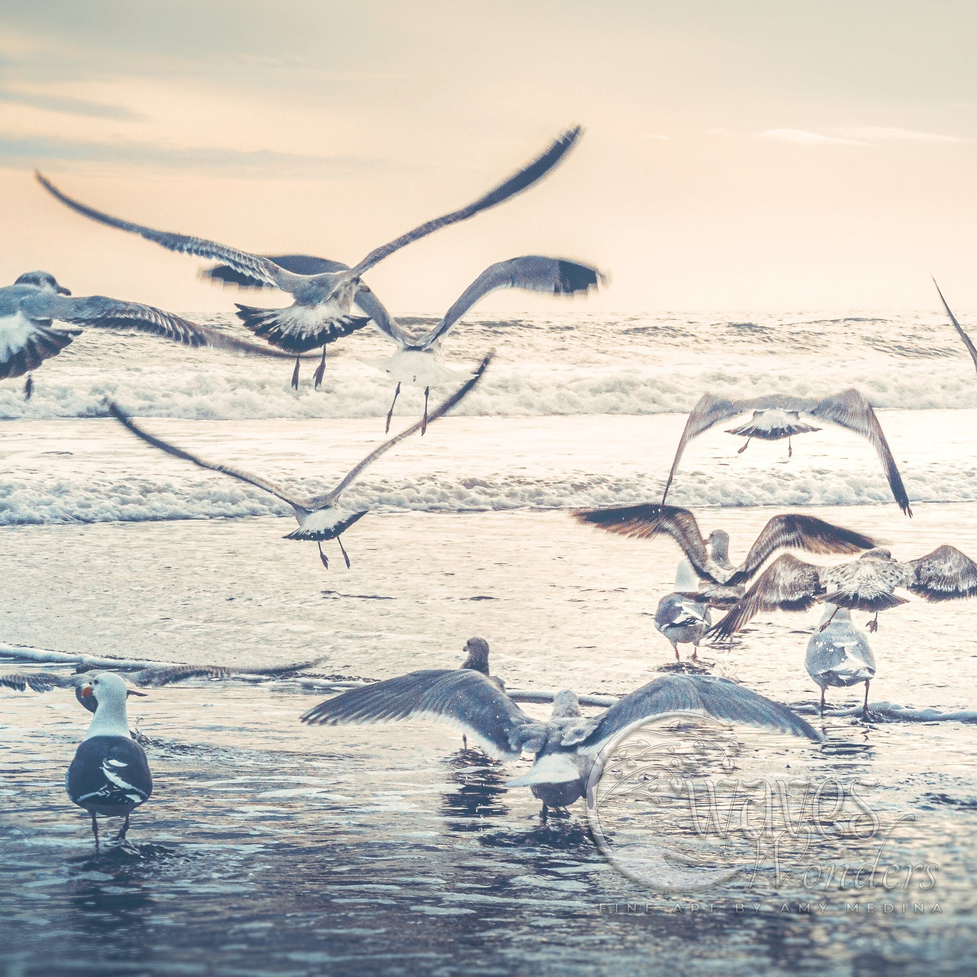 a flock of seagulls flying over a beach next to the ocean