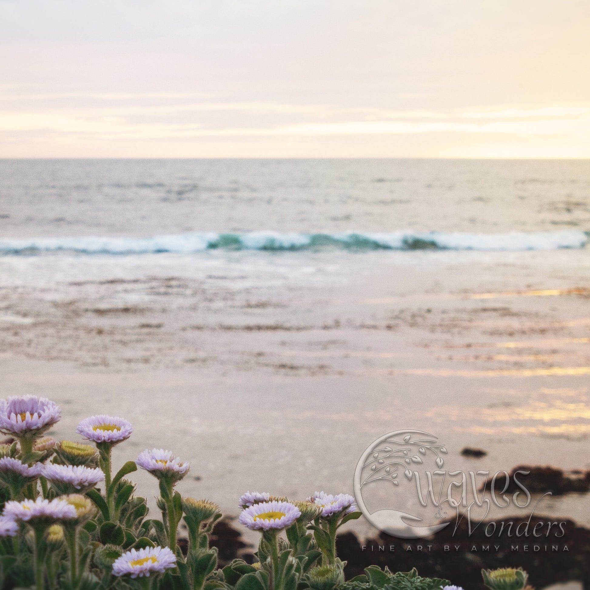 a bunch of flowers that are by the water