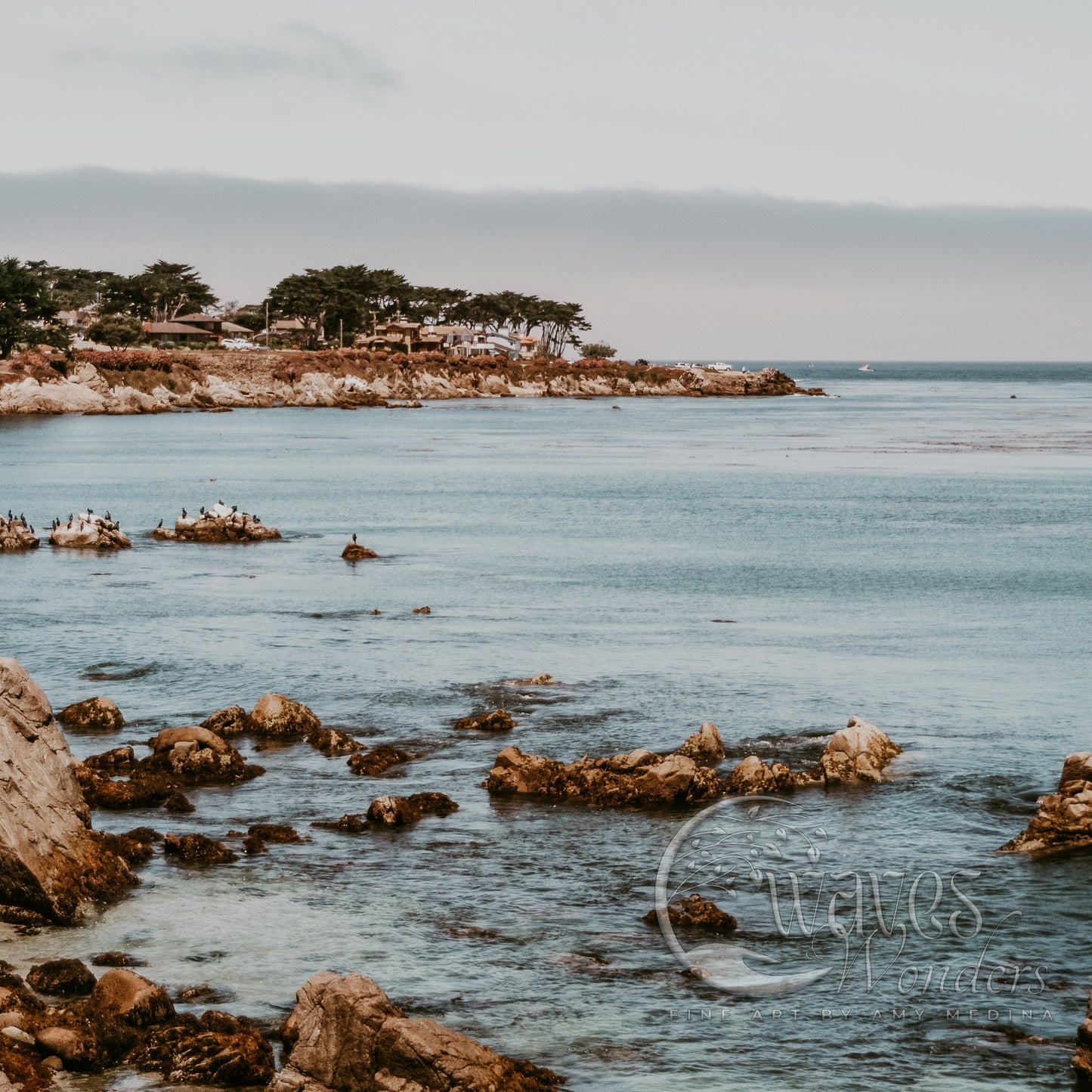 a body of water surrounded by rocks and trees