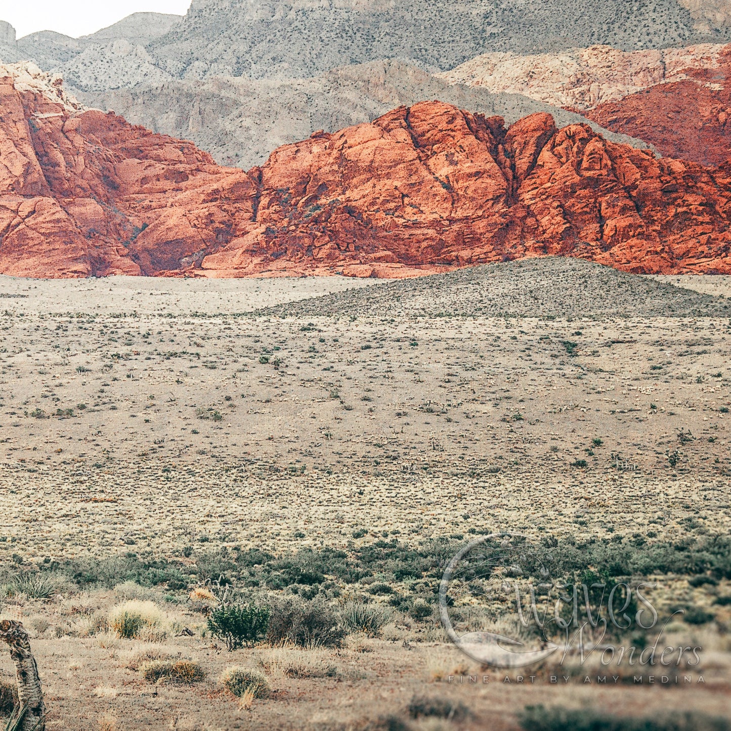 a mountain range with a mountain bike in the foreground