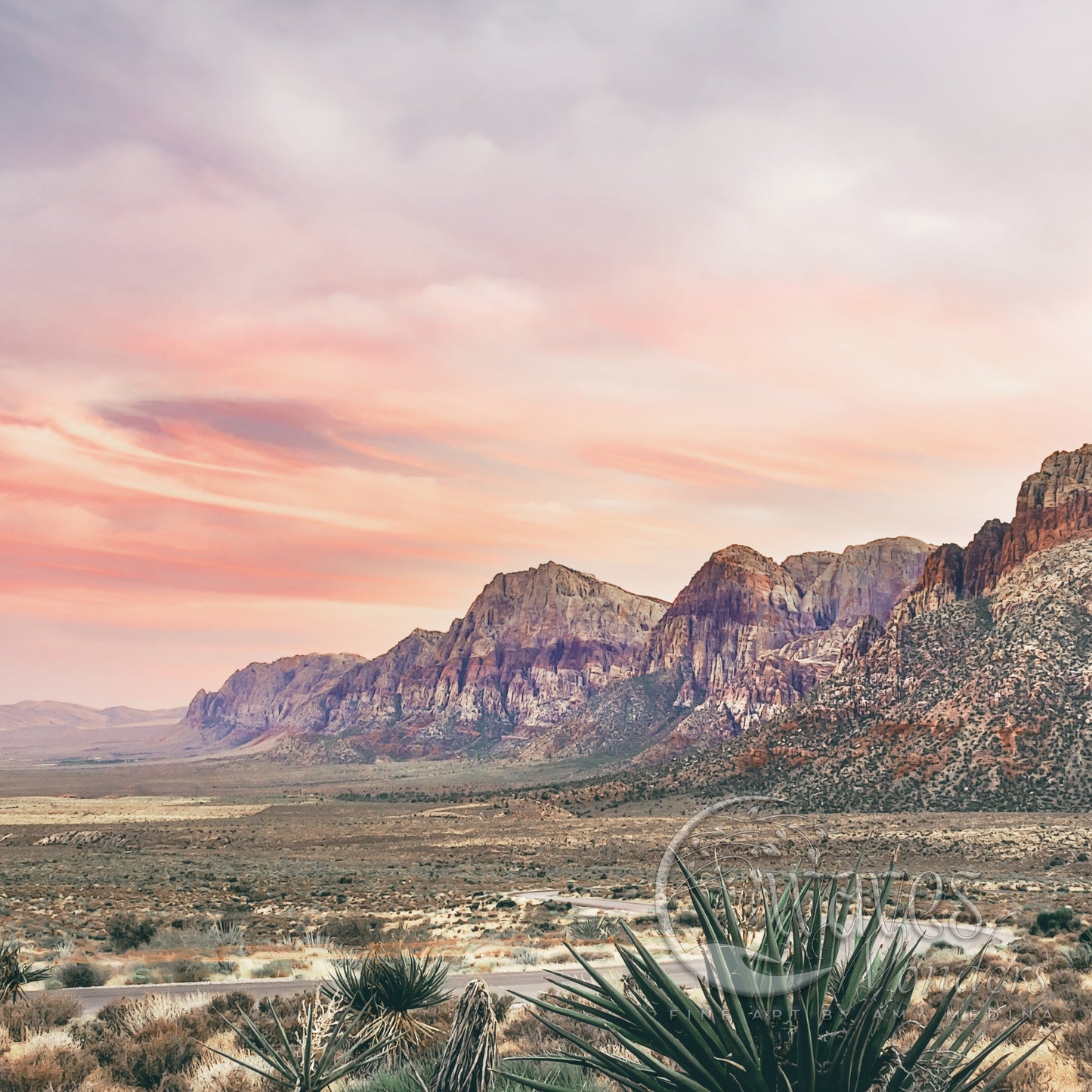 a desert landscape with mountains in the background