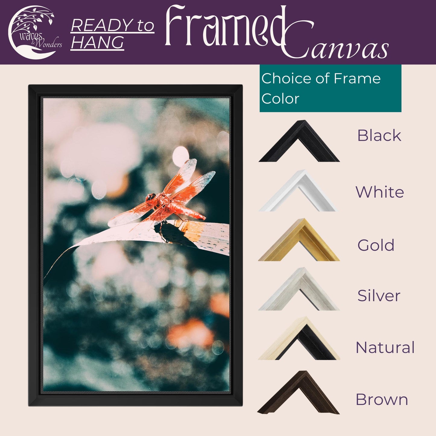 a picture of frames with different colors of frames