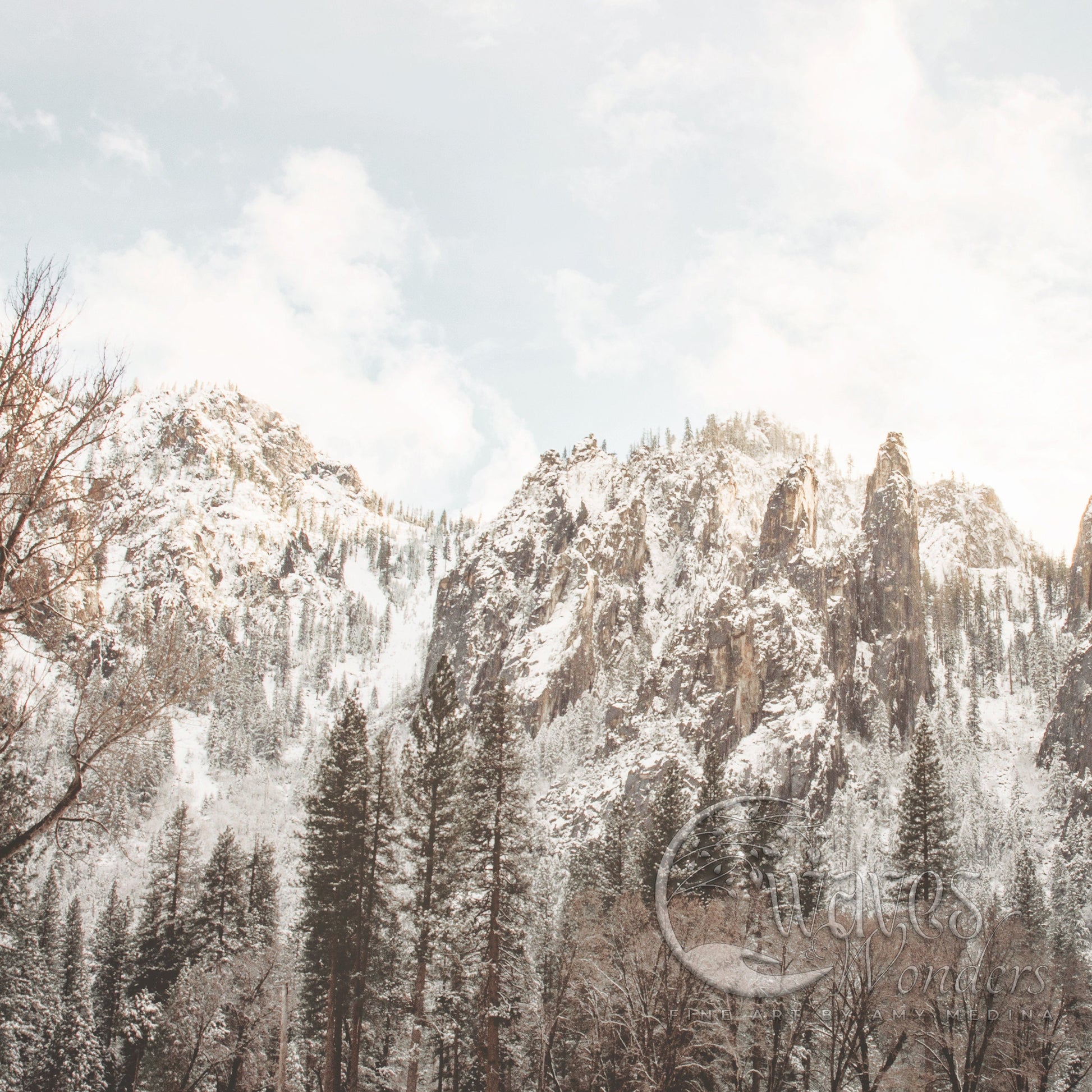 a snow covered mountain with trees in the foreground