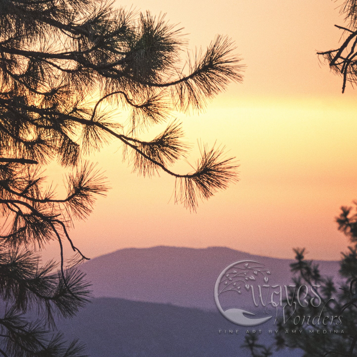 a view of a mountain range through the branches of a pine tree