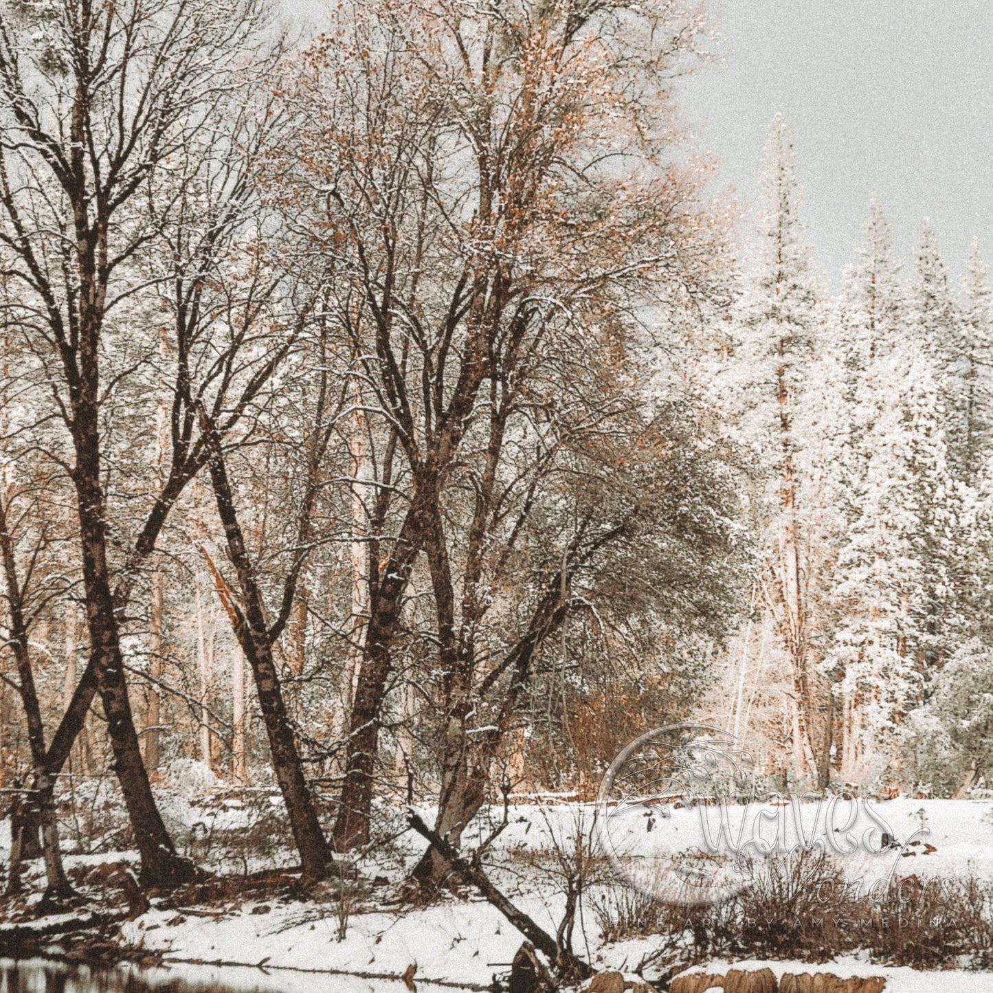 Fine Art Yosemite Winter Landscape Print- Calming Cathedral Rock Nature Photography, California Snow Wall Prints, Rustic Seasonal Wall Decor