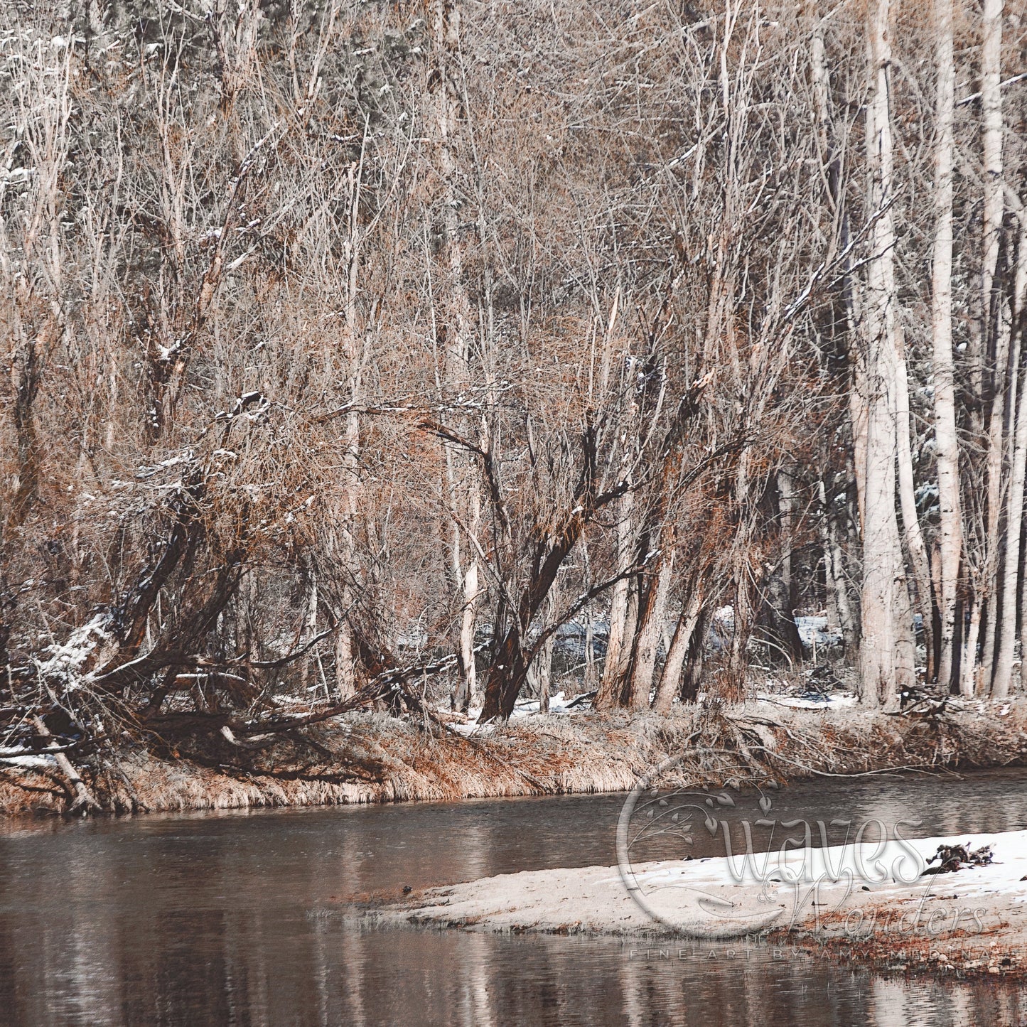 a river running through a forest filled with trees