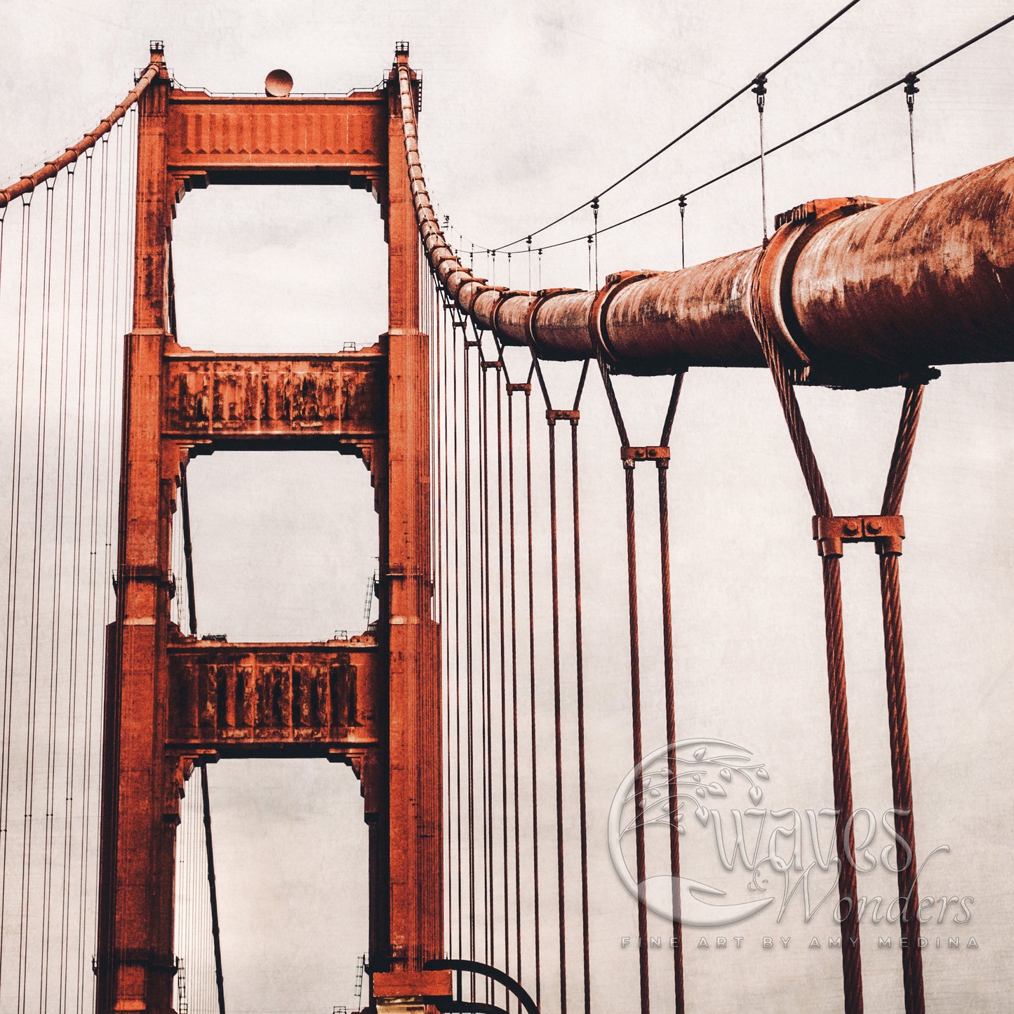 a view of the golden gate bridge from below