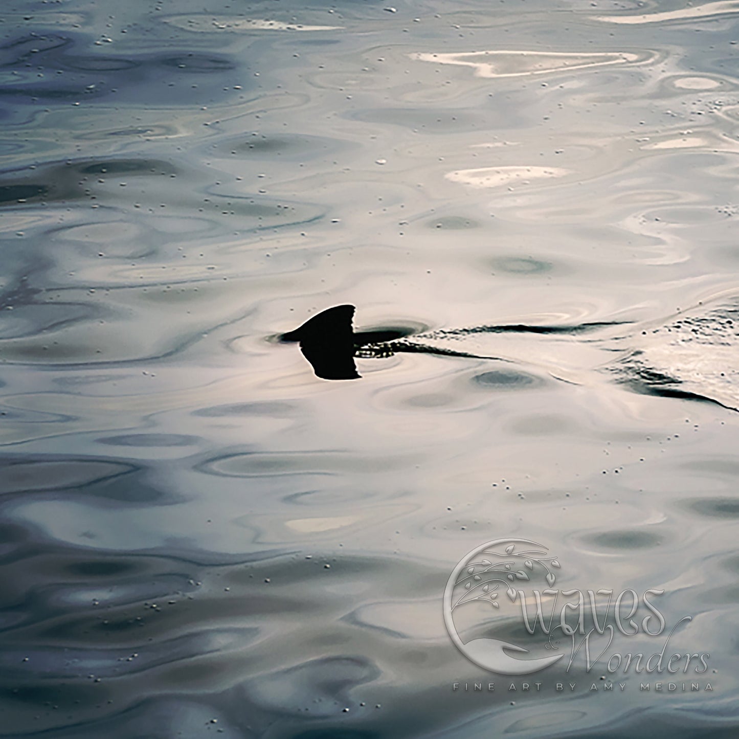 a bird floating on top of a body of water