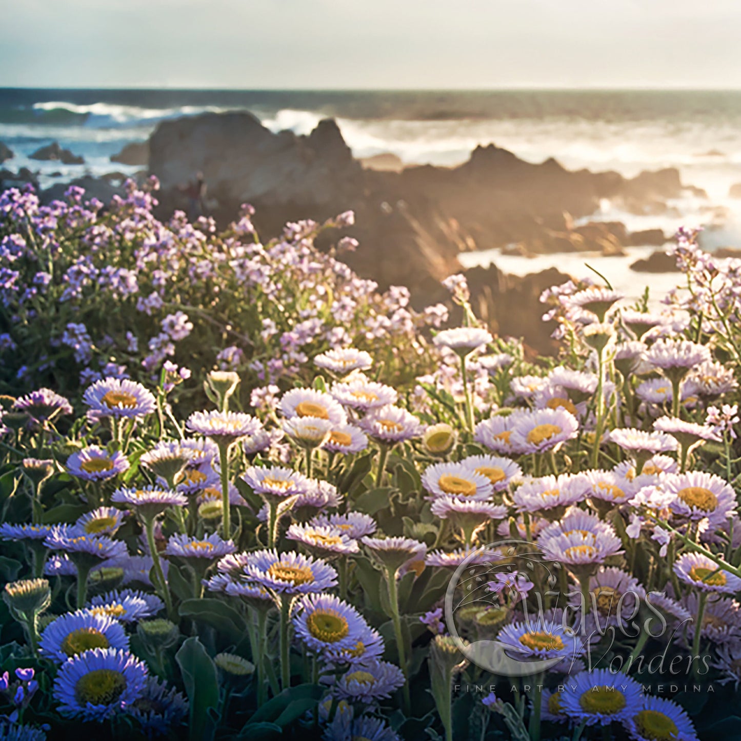 a bunch of flowers that are by the water