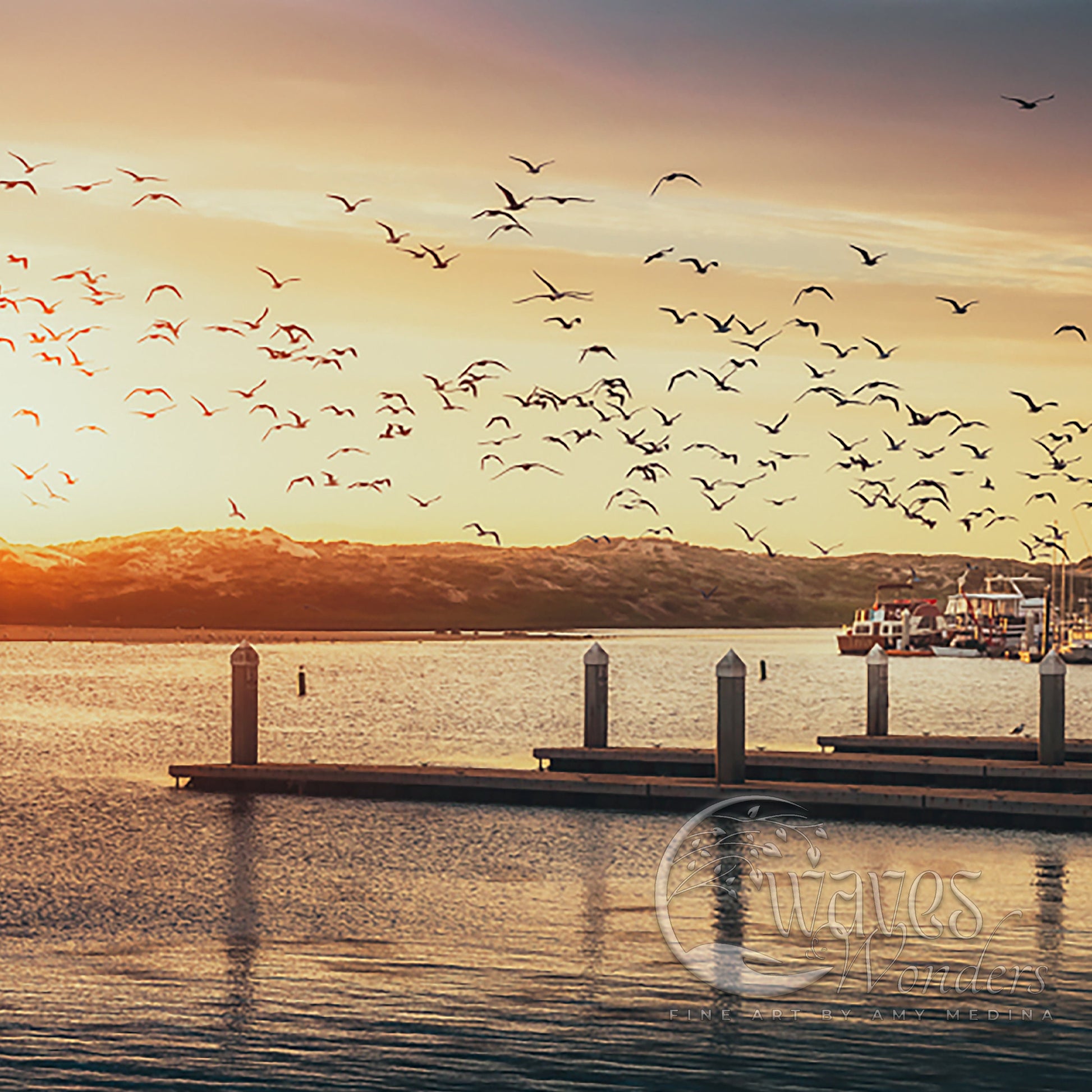 a flock of birds flying over a body of water