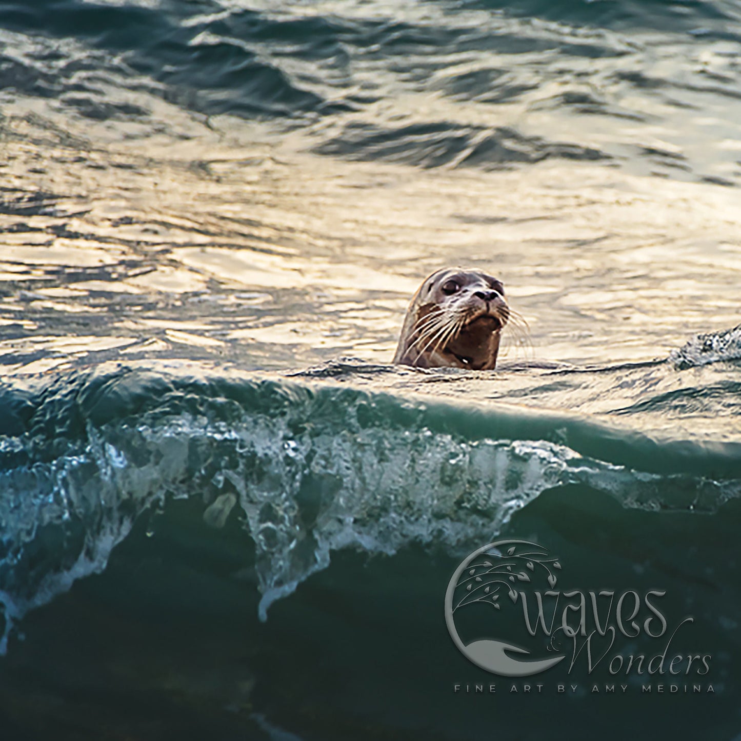 a sea lion swimming in the ocean with a wave