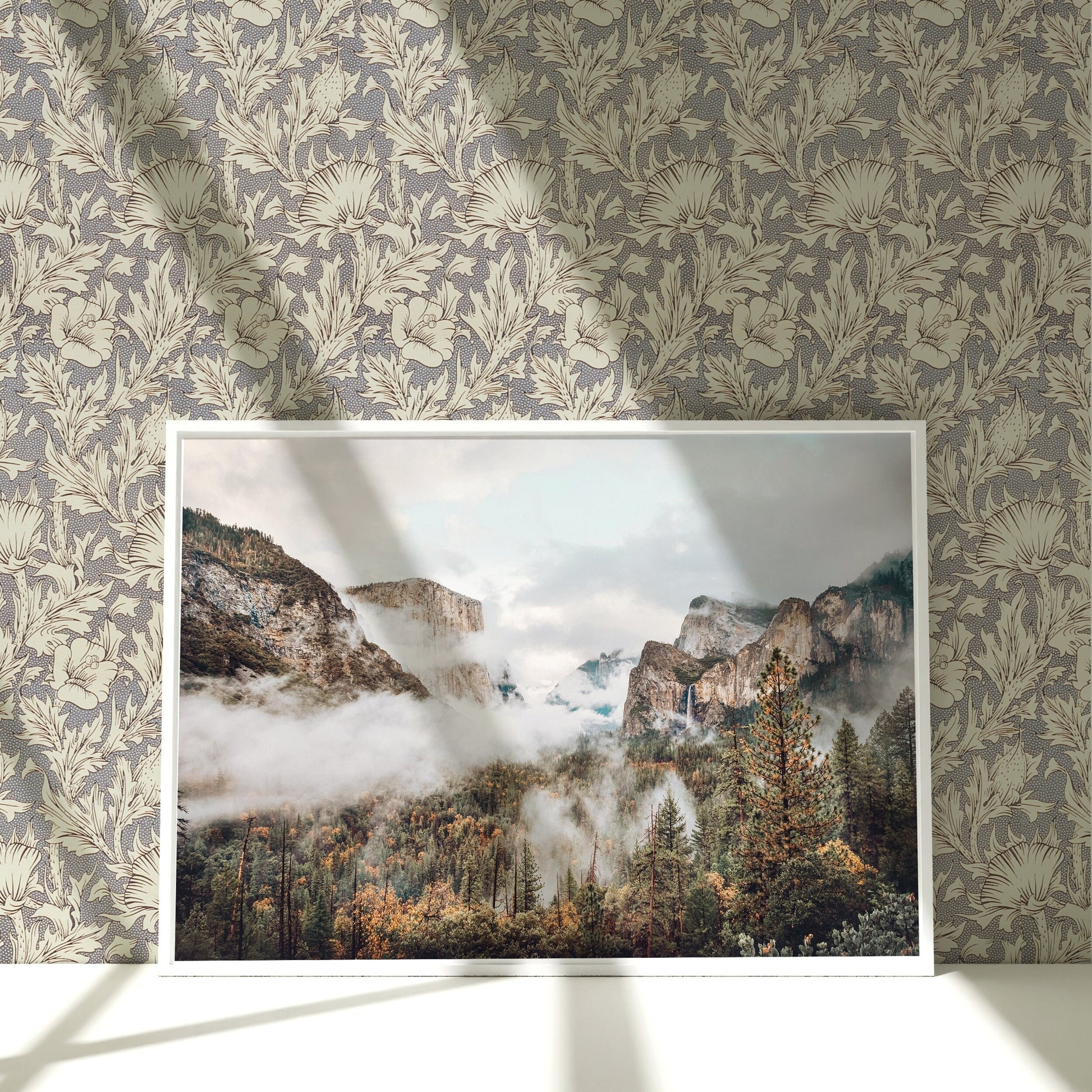 a picture of a mountain range in a frame on a wall