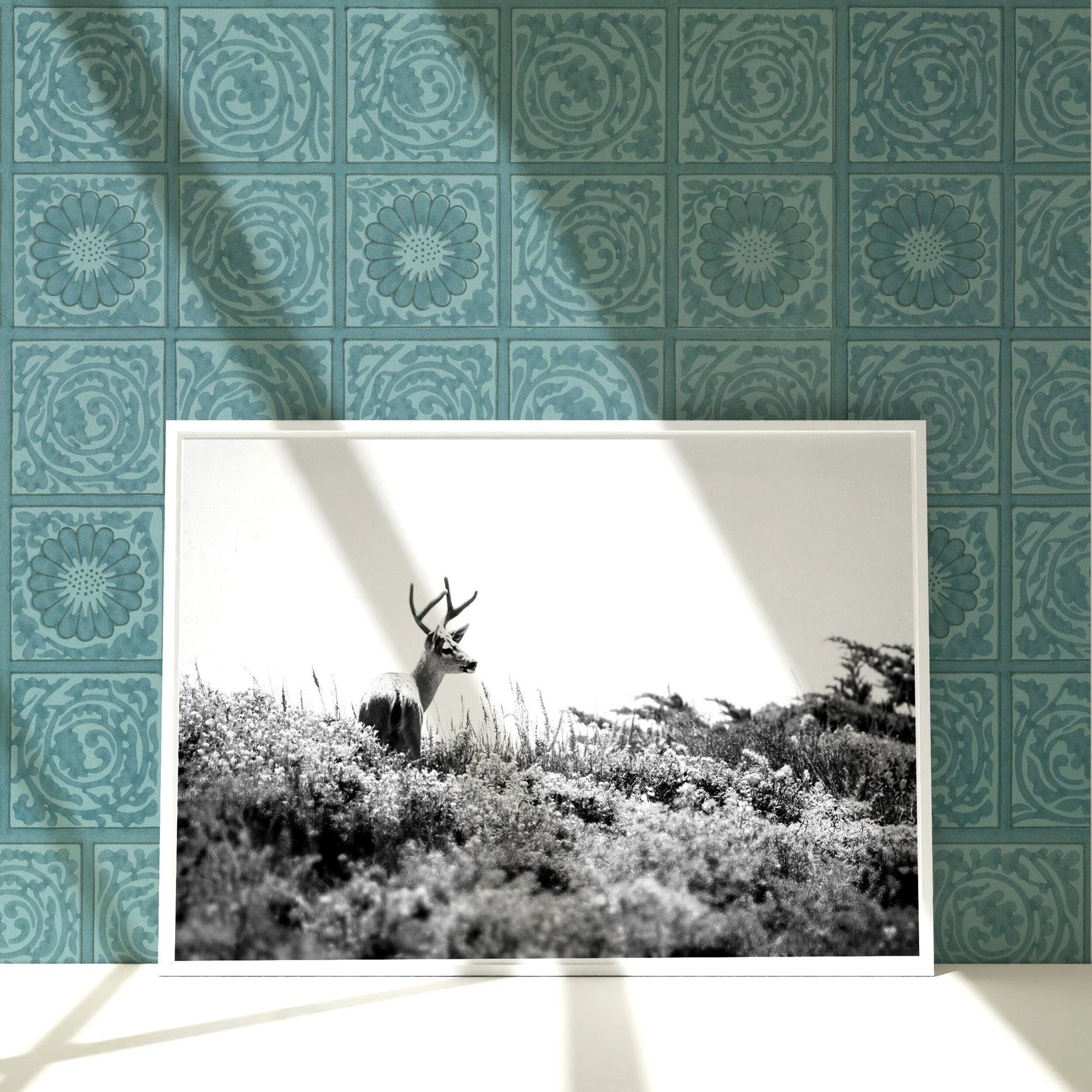 a black and white photo of a deer in a field