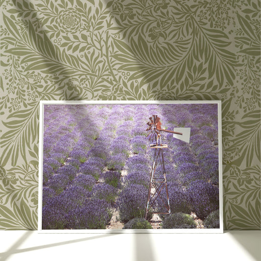 a painting of a windmill in a lavender field