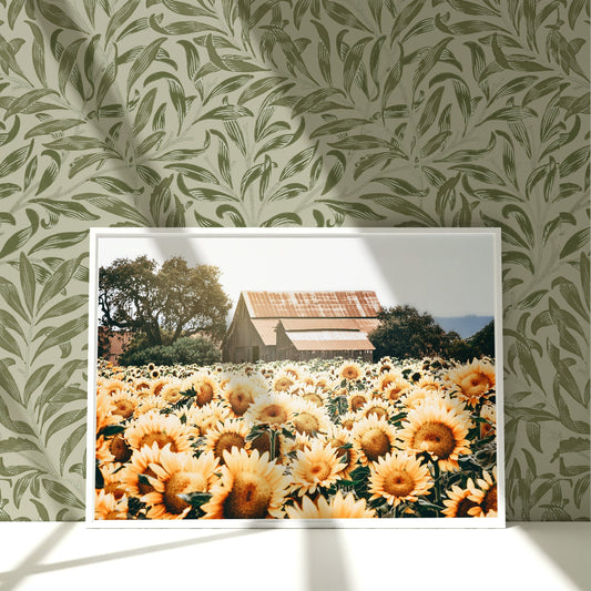 a picture of a field of sunflowers with a barn in the background