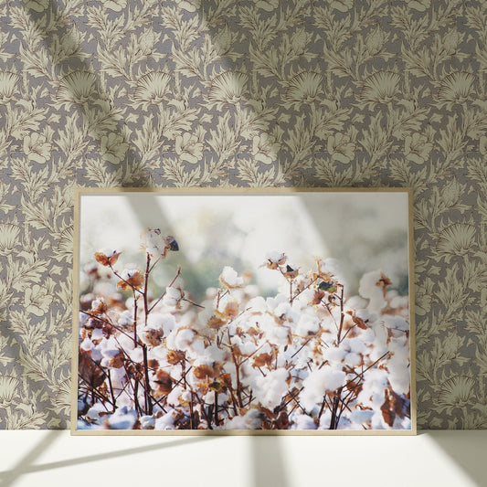 a picture of cotton flowers in a frame on a wall