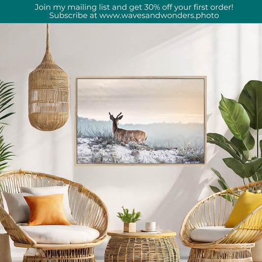 a living room with wicker chairs and a picture of a deer