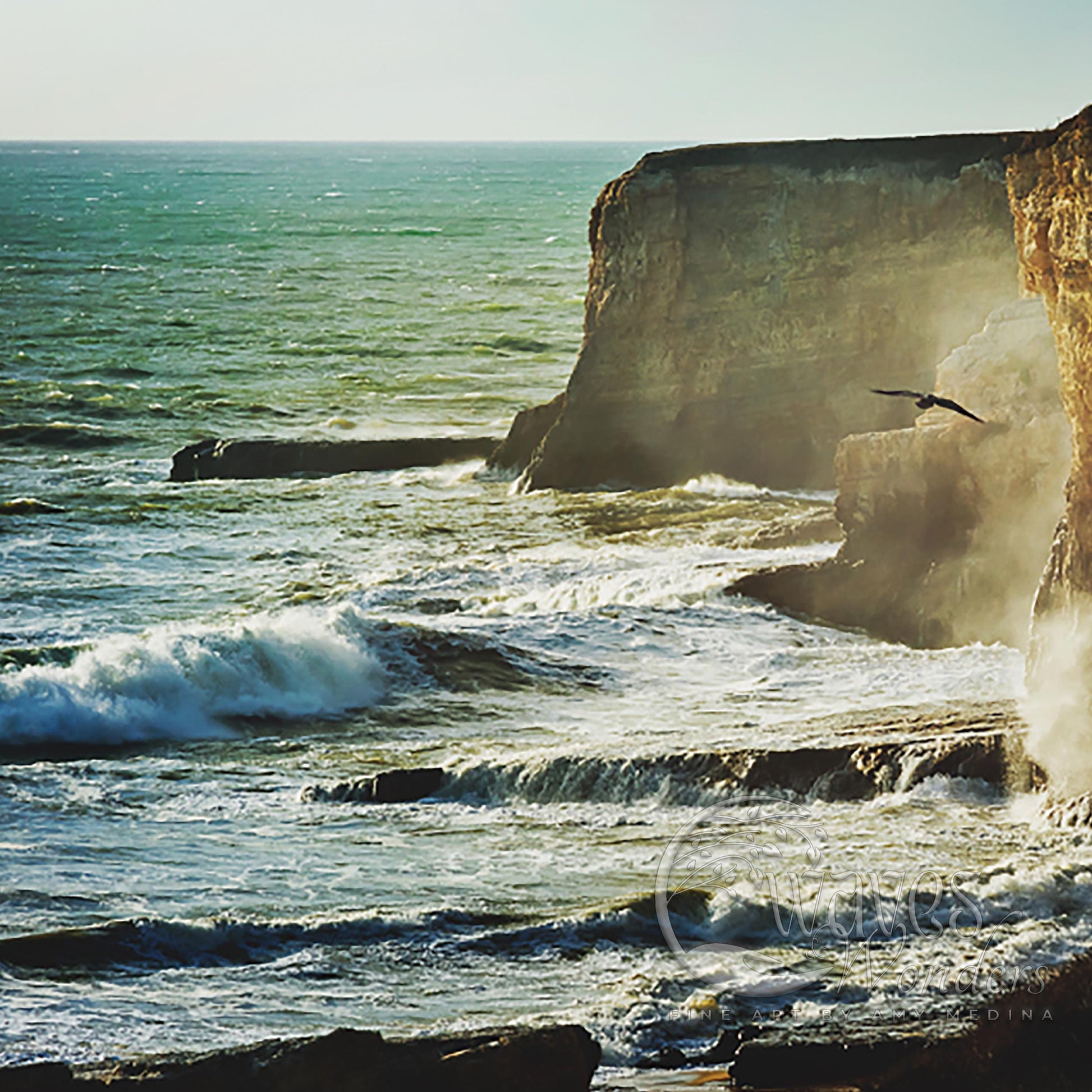 a bird flying over the ocean next to a cliff