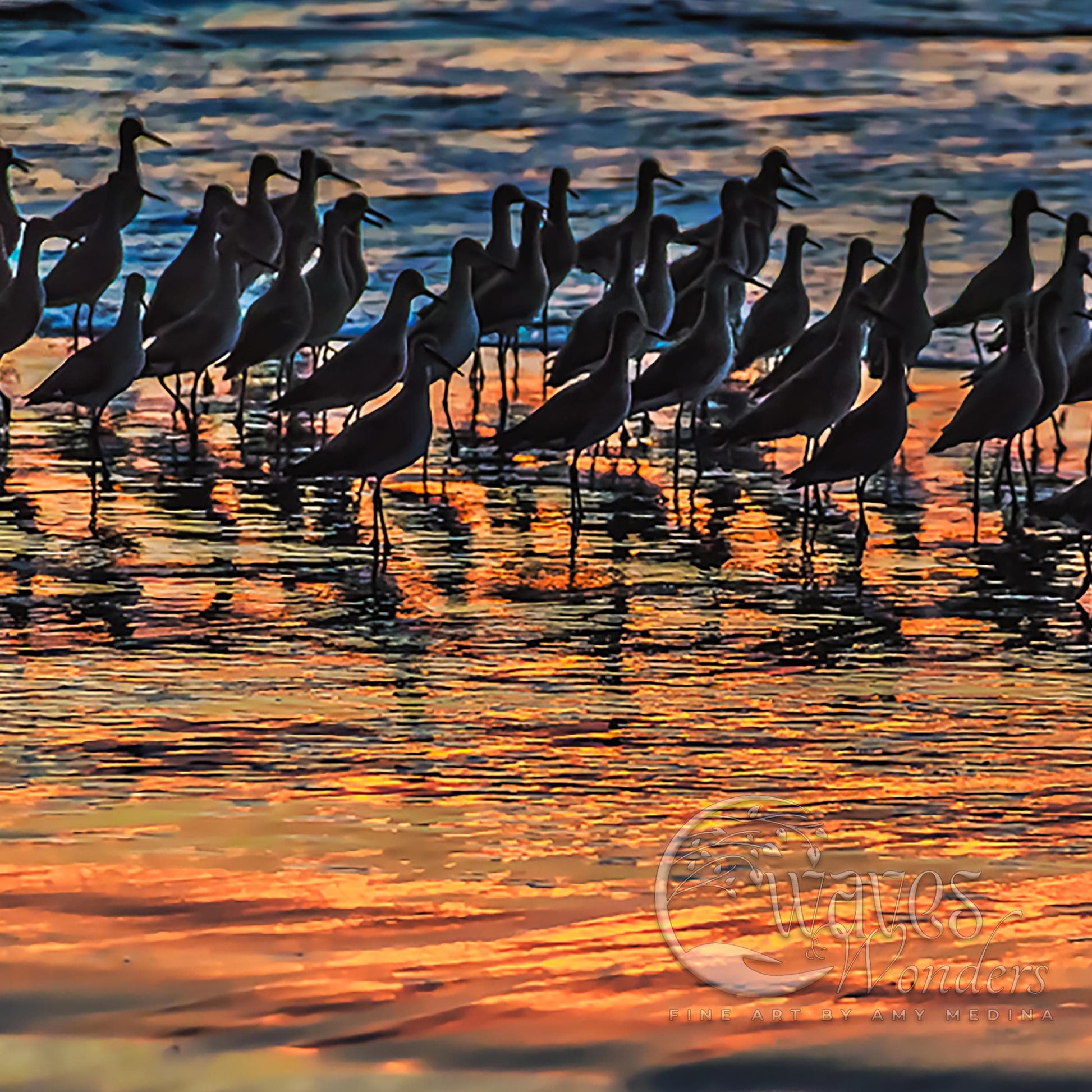 a flock of birds standing on top of a body of water