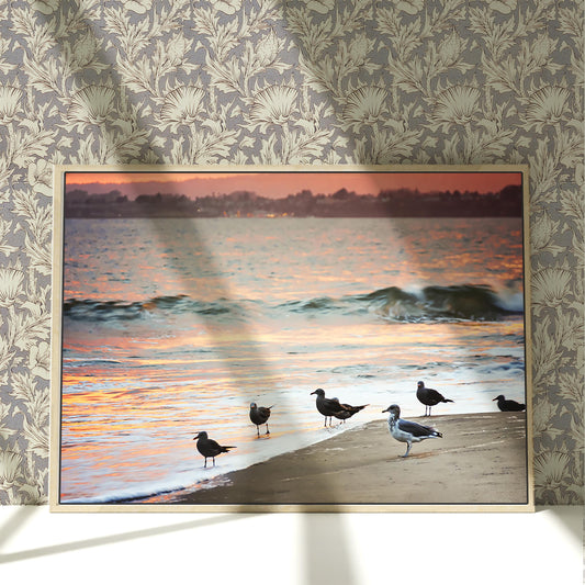 a group of birds standing on top of a beach