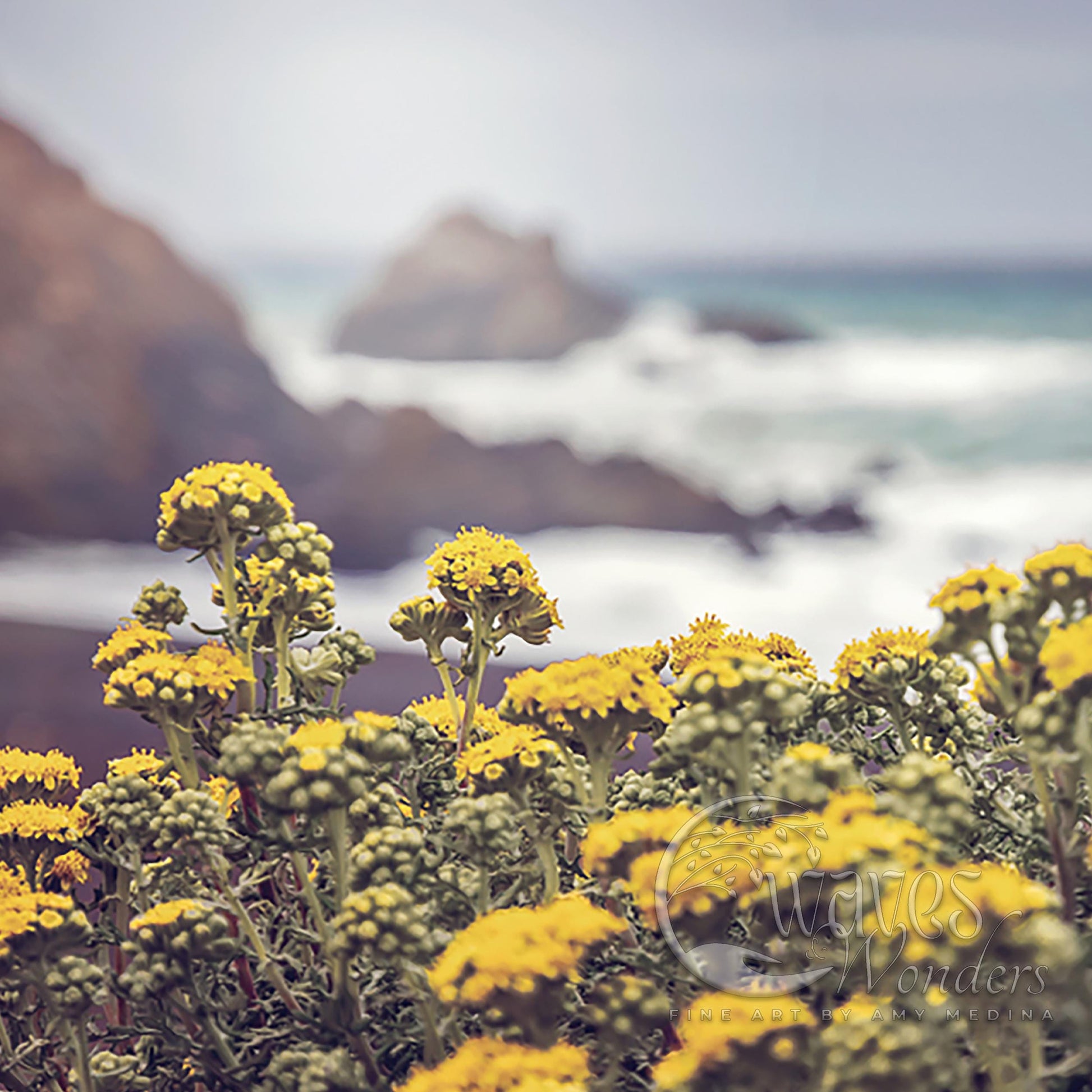 a bunch of yellow flowers near the ocean