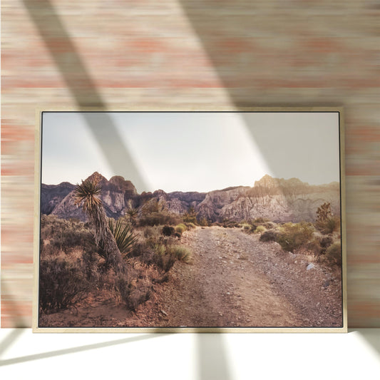 a picture of a dirt road in the desert