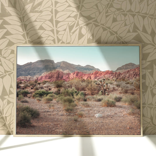 a picture of a desert with mountains in the background