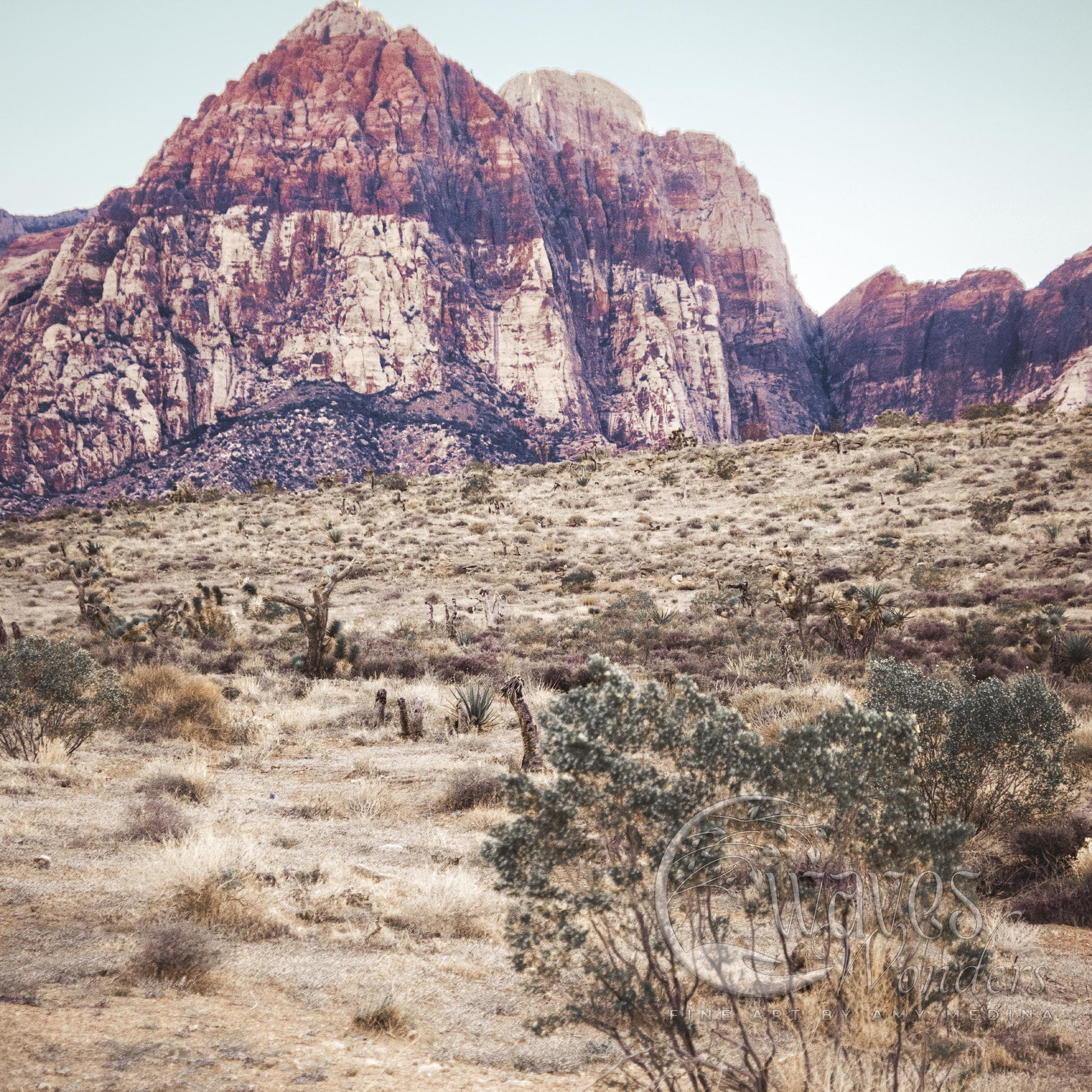 a mountain range with a few bushes in the foreground