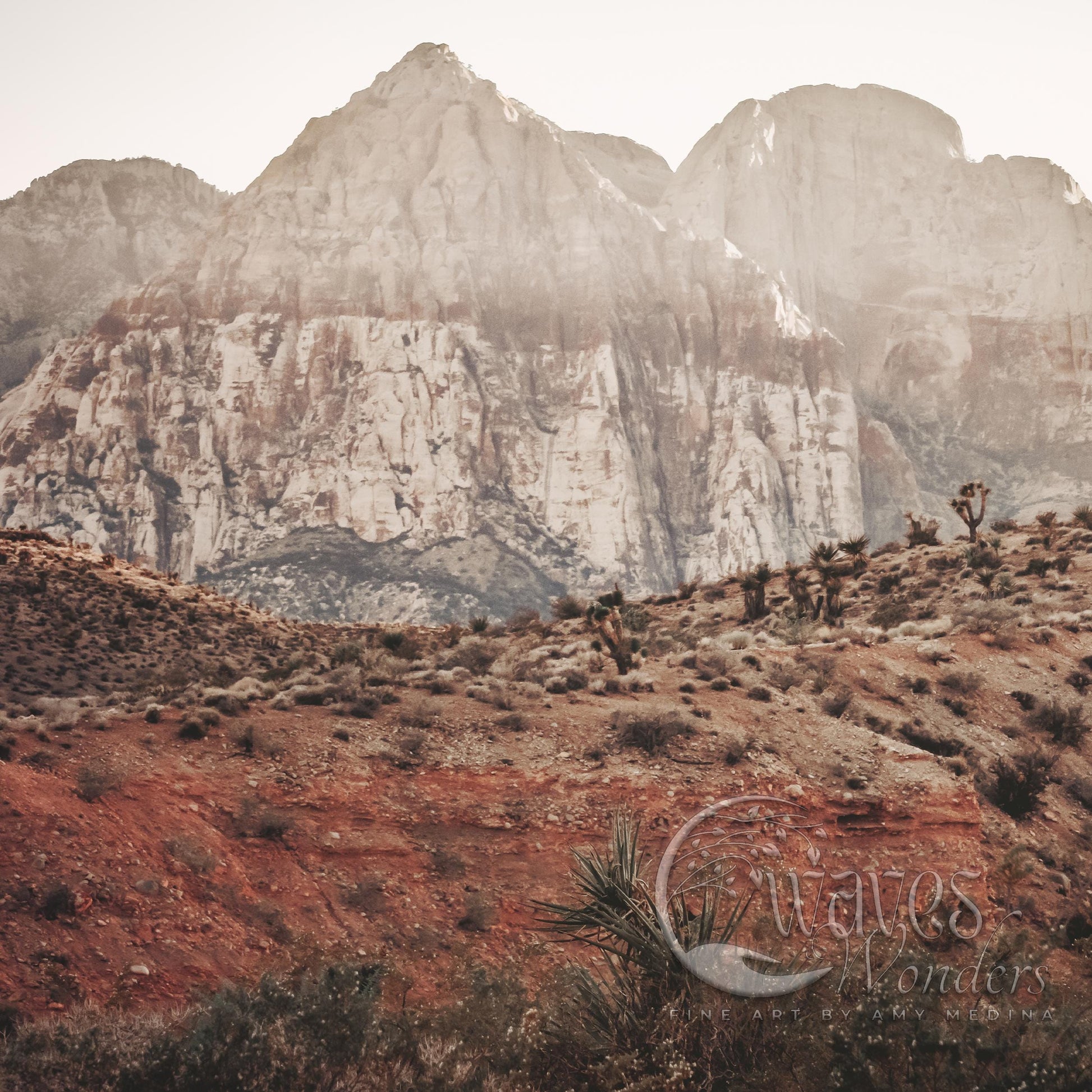 a group of people riding horses on top of a mountain