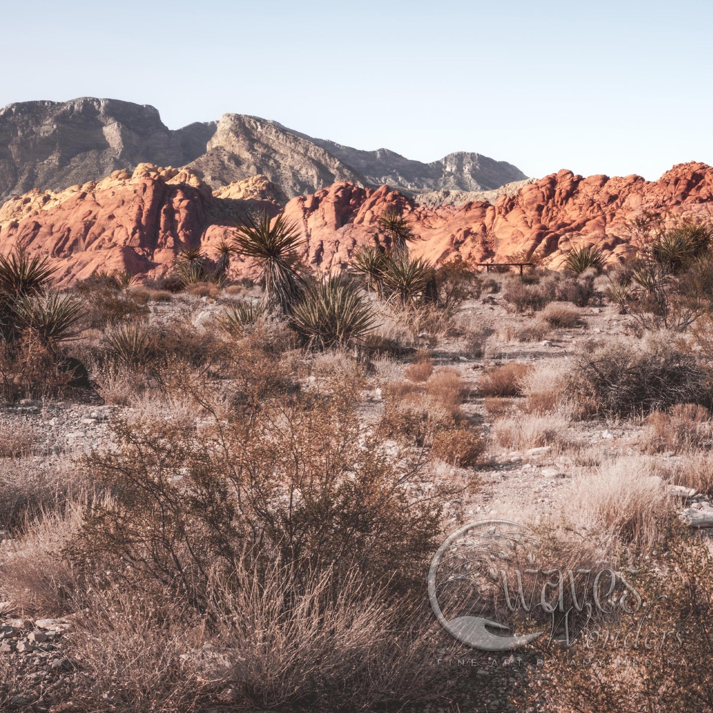 a desert landscape with mountains in the background