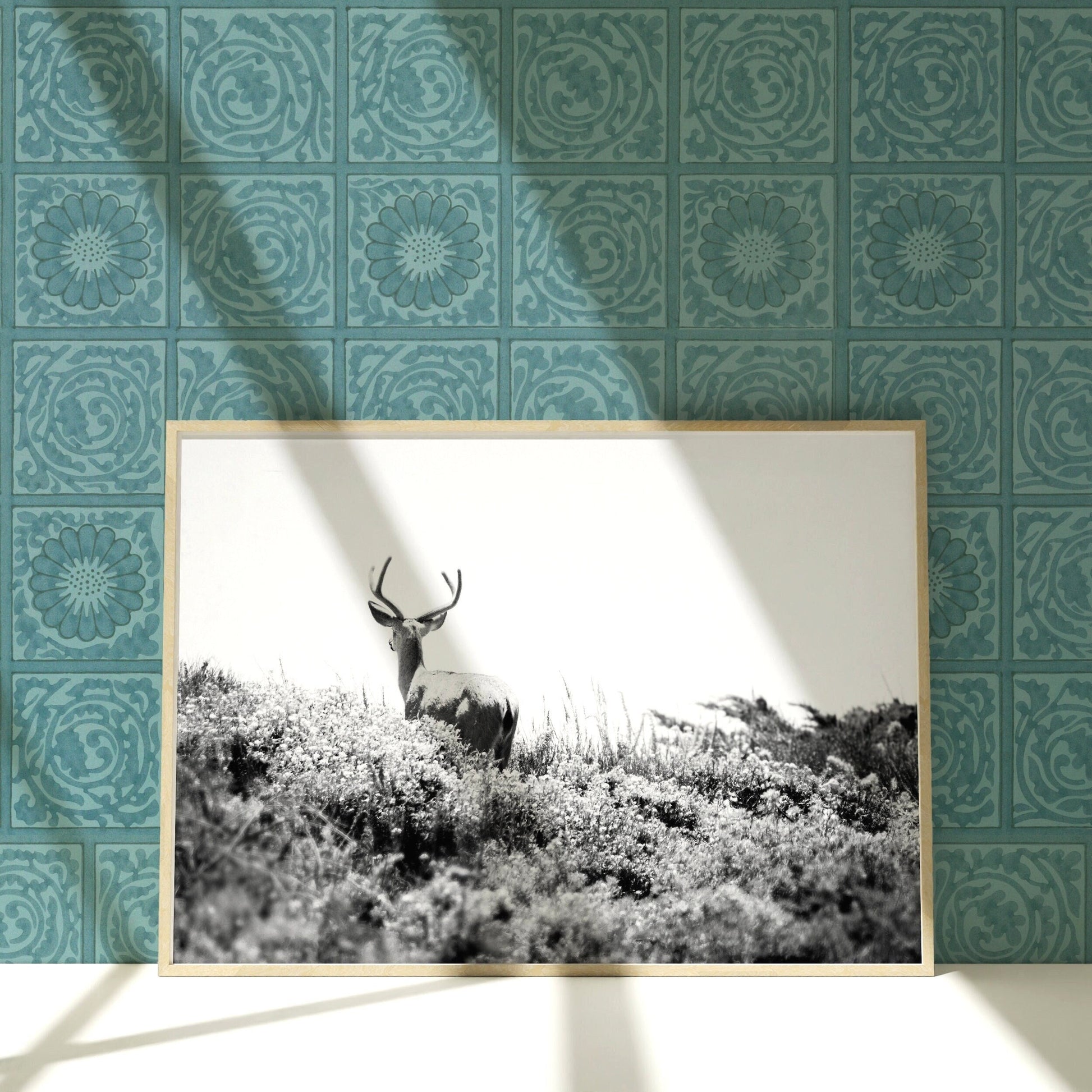 a framed photograph of a deer on a wall