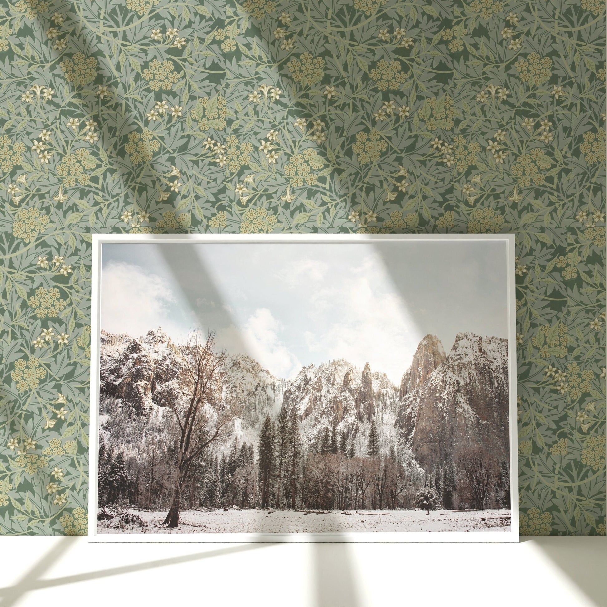 a picture of a snowy mountain with trees in the foreground