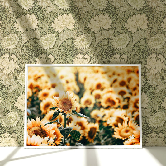 a picture of a field of sunflowers on a wall