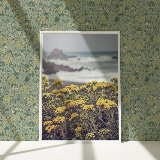 a picture of some yellow flowers in front of a green wall