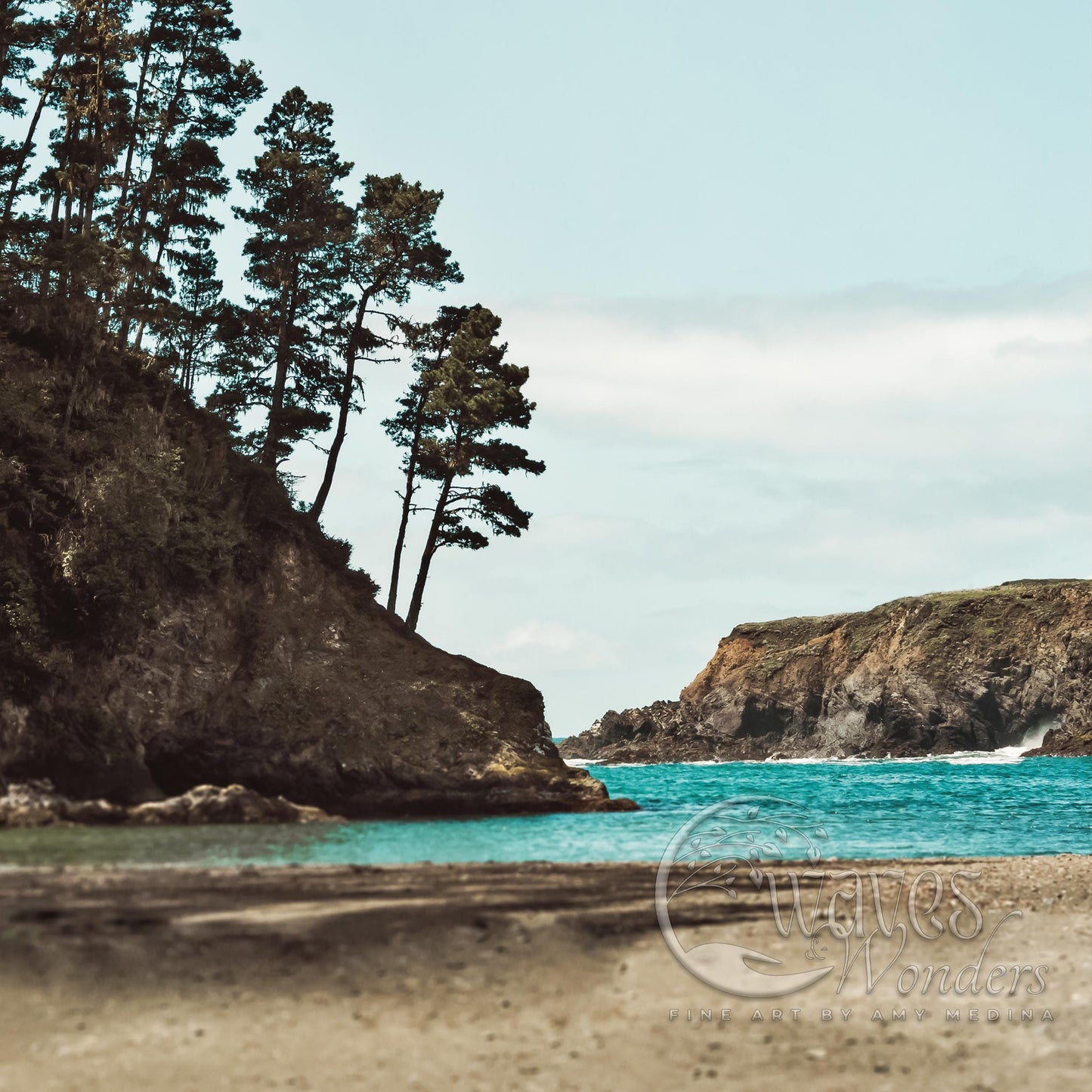 a sandy beach with trees on the shore