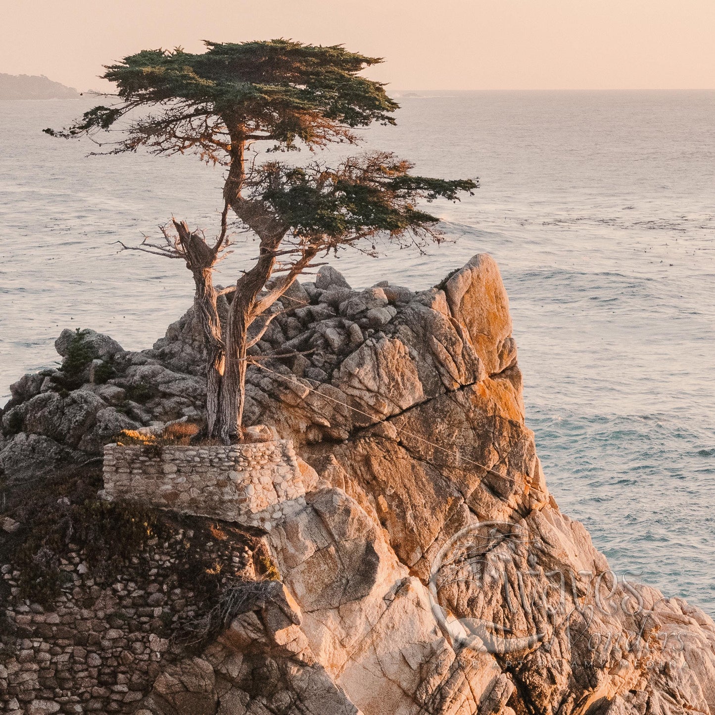 a lone tree sitting on top of a rocky cliff