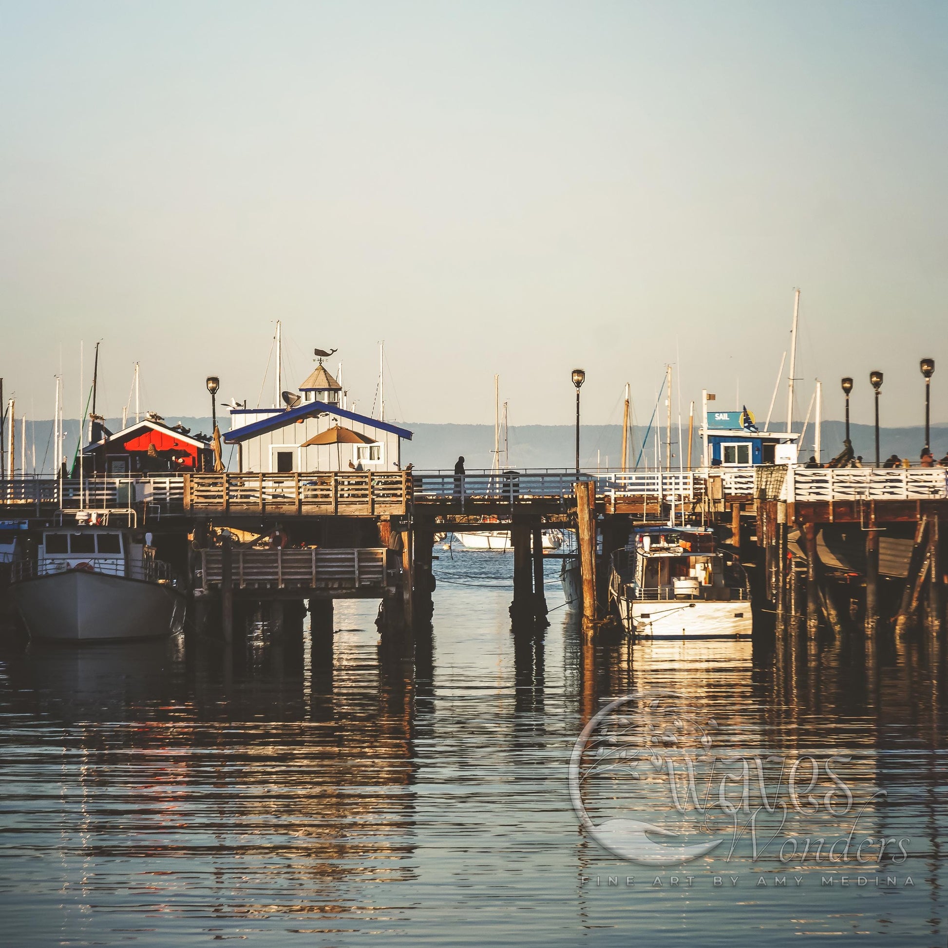 a group of boats that are sitting in the water