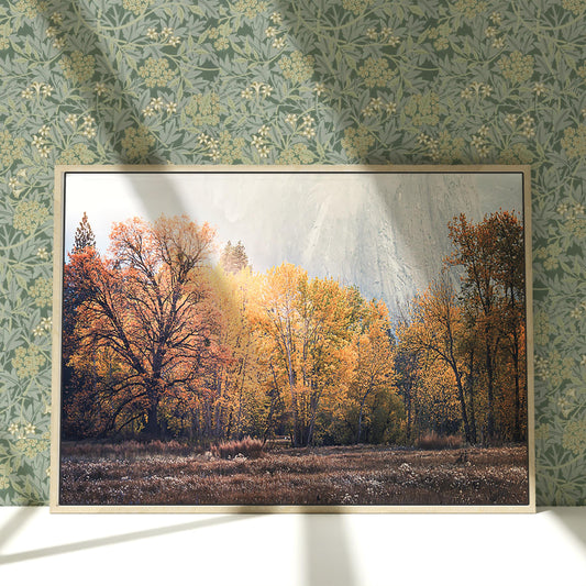 a painting of a forest with a mountain in the background