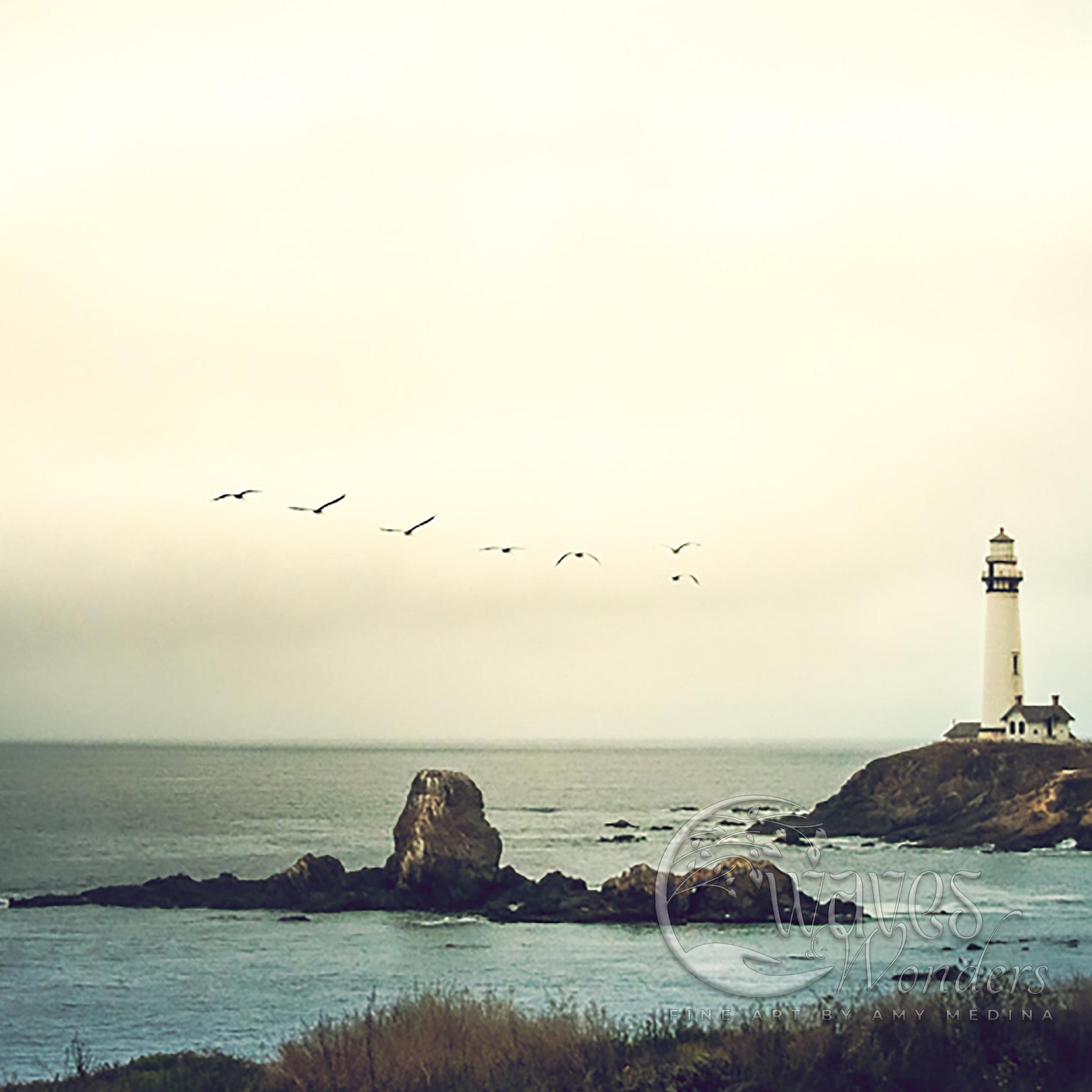 a light house on a rocky outcropping near the ocean