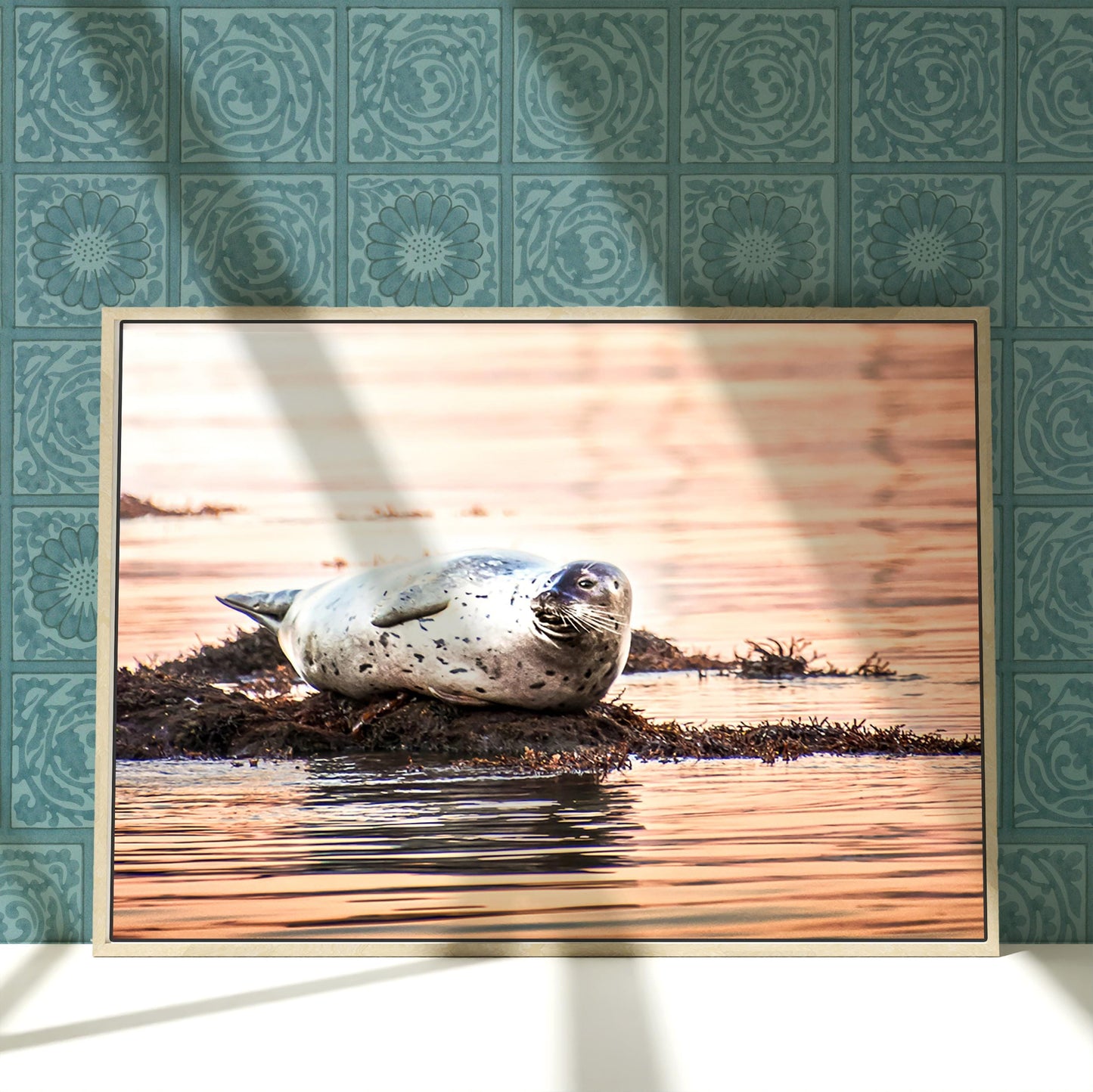 a picture of a seal laying on top of a body of water