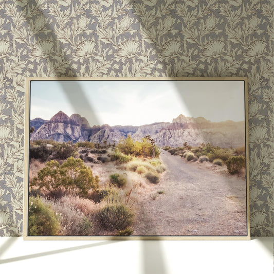 a picture of a desert with mountains in the background