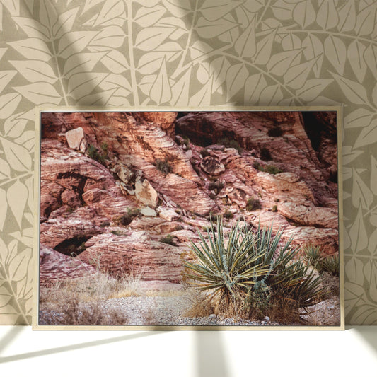 a picture of a desert scene with a cactus in the foreground