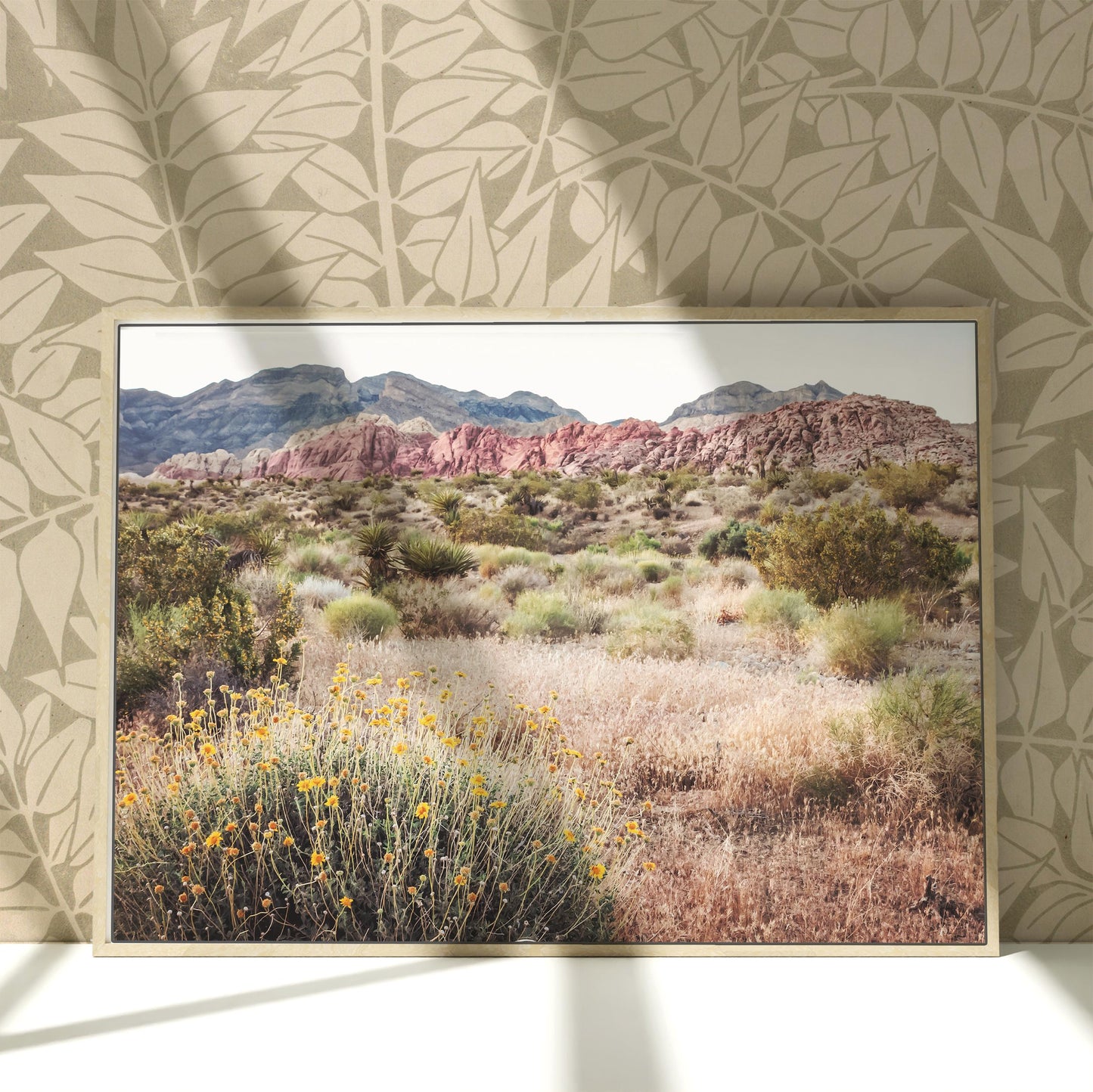 a picture of a desert with mountains in the background