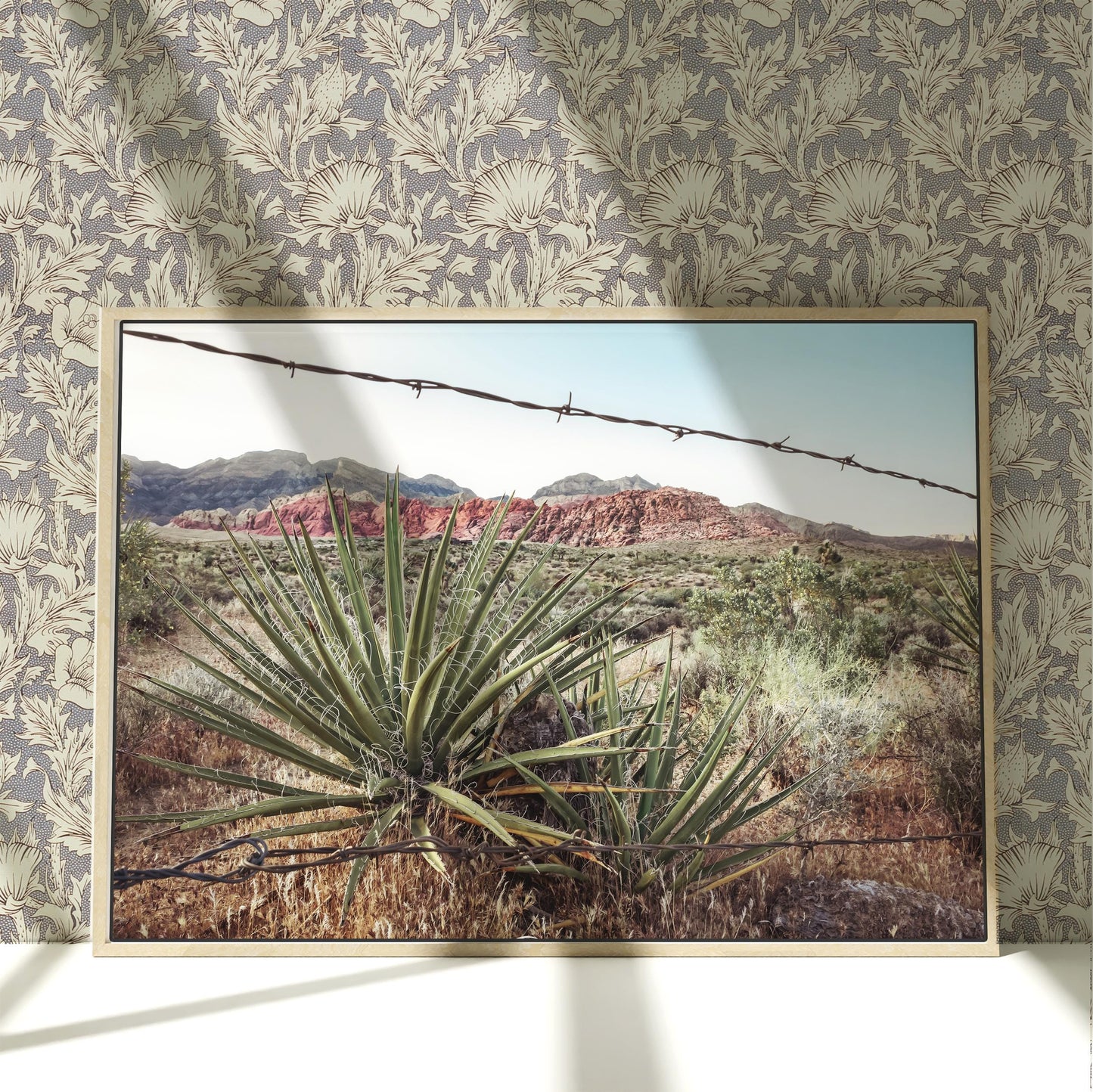 a picture of a cactus behind a barbed wire fence