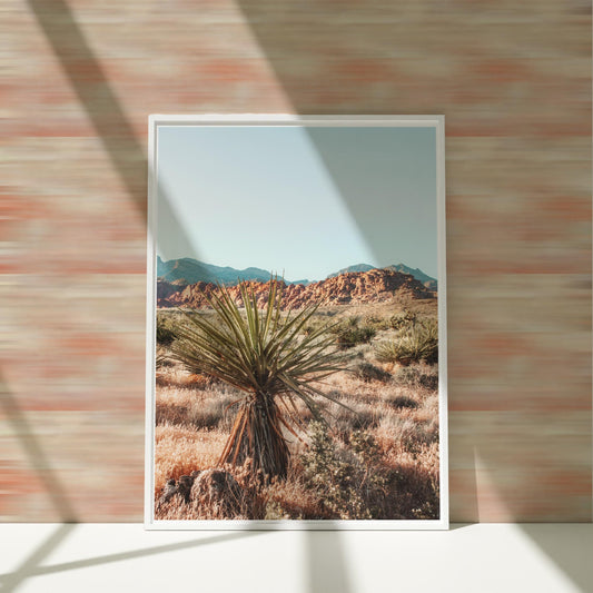 a picture of a desert with a cactus in the foreground