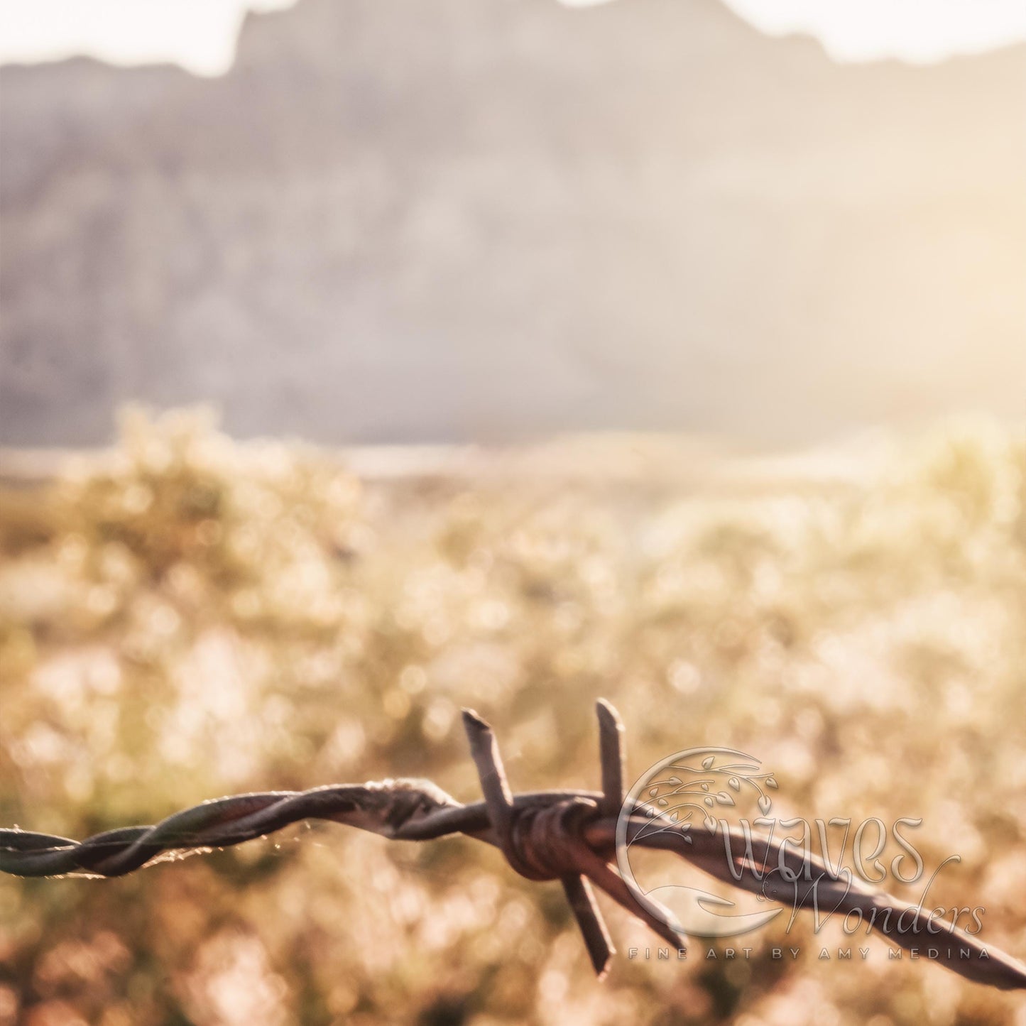 a barbed wire fence with a mountain in the background