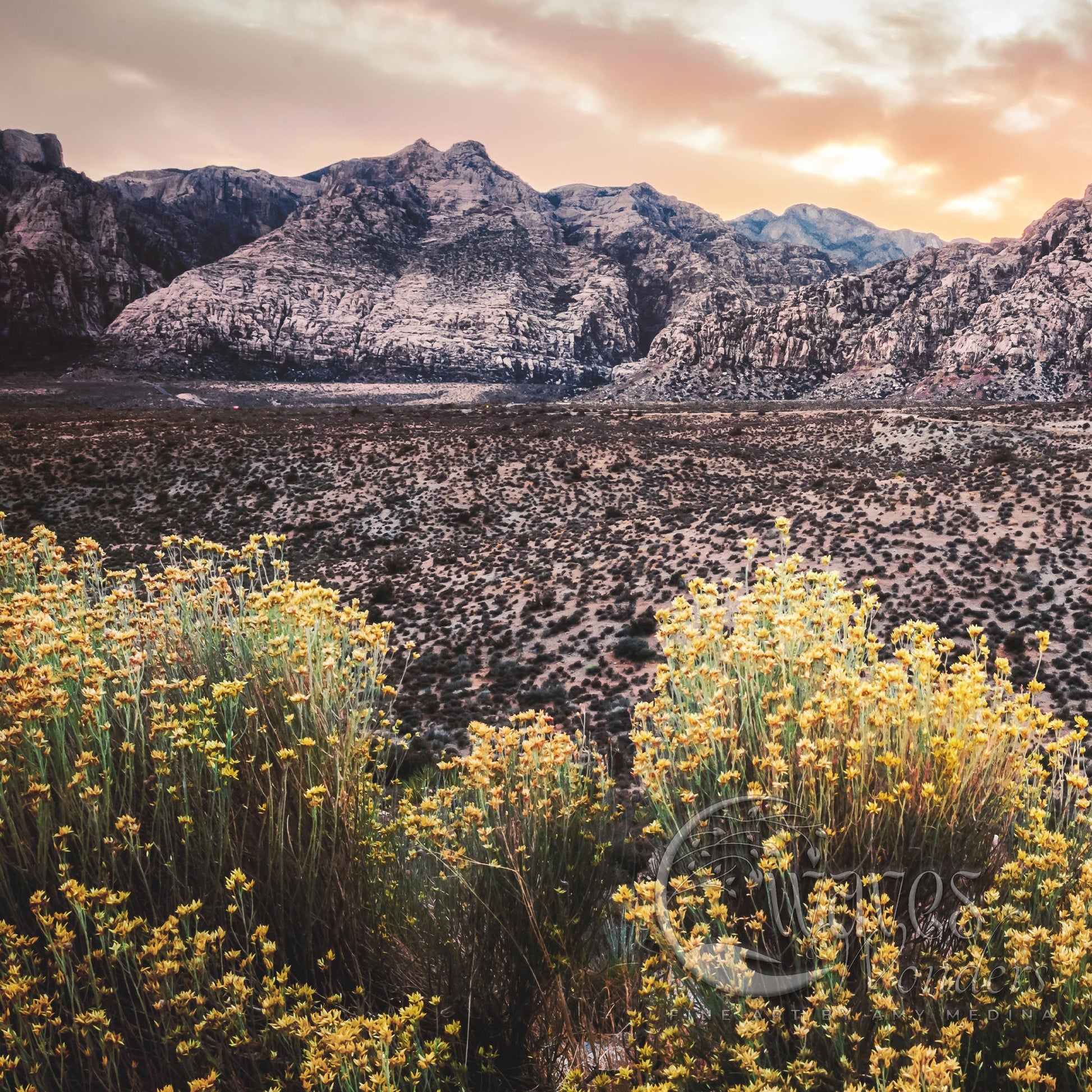 a field of wildflowers with mountains in the background